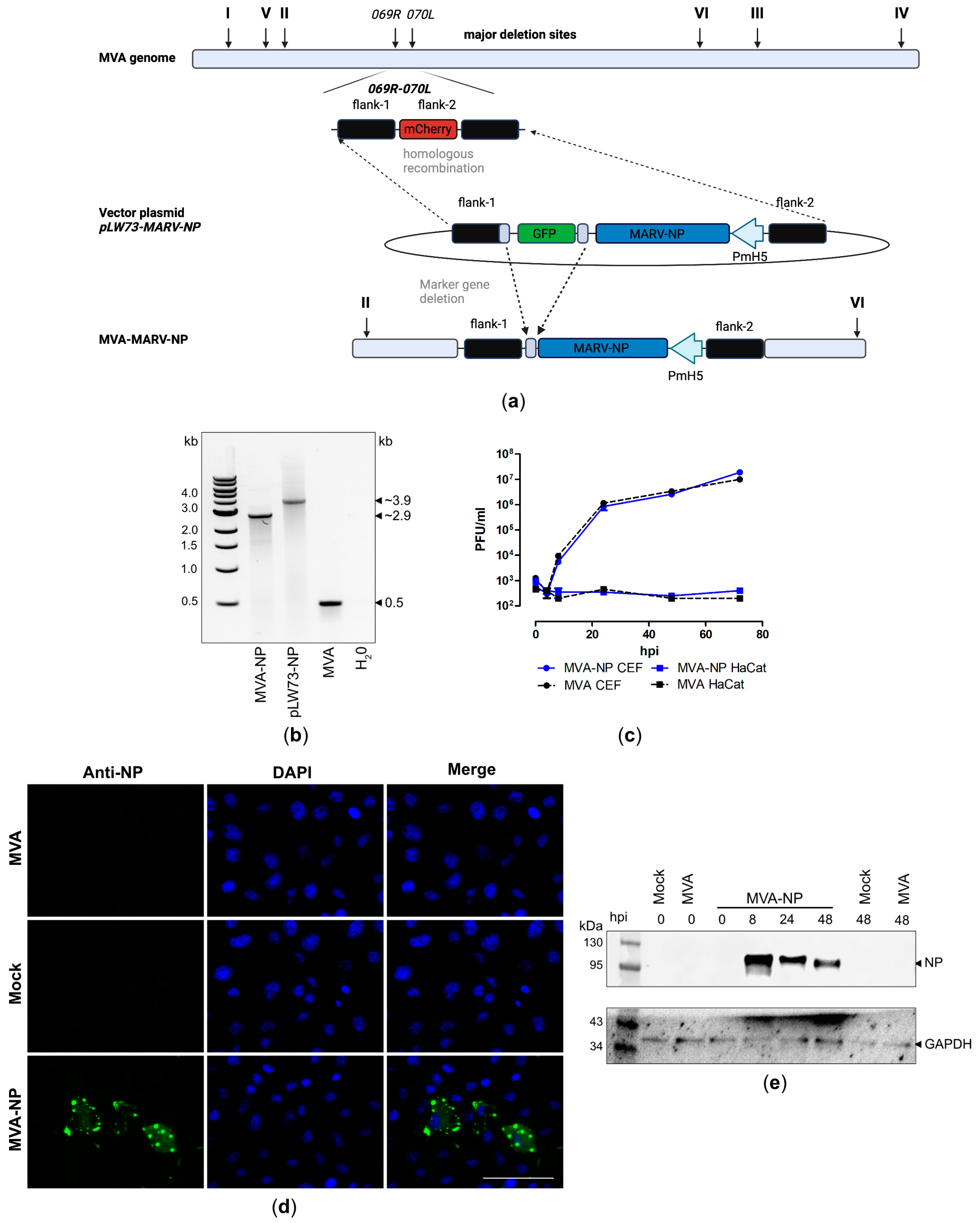 Vaccines 12 01316 g003