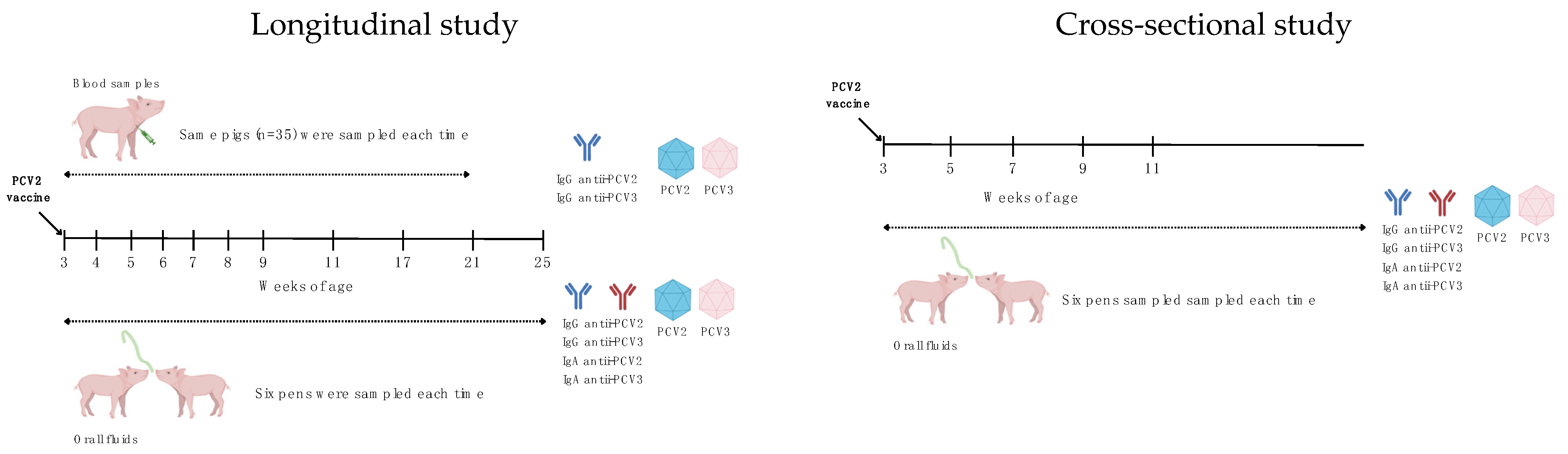 Vaccines 12 01318 g001