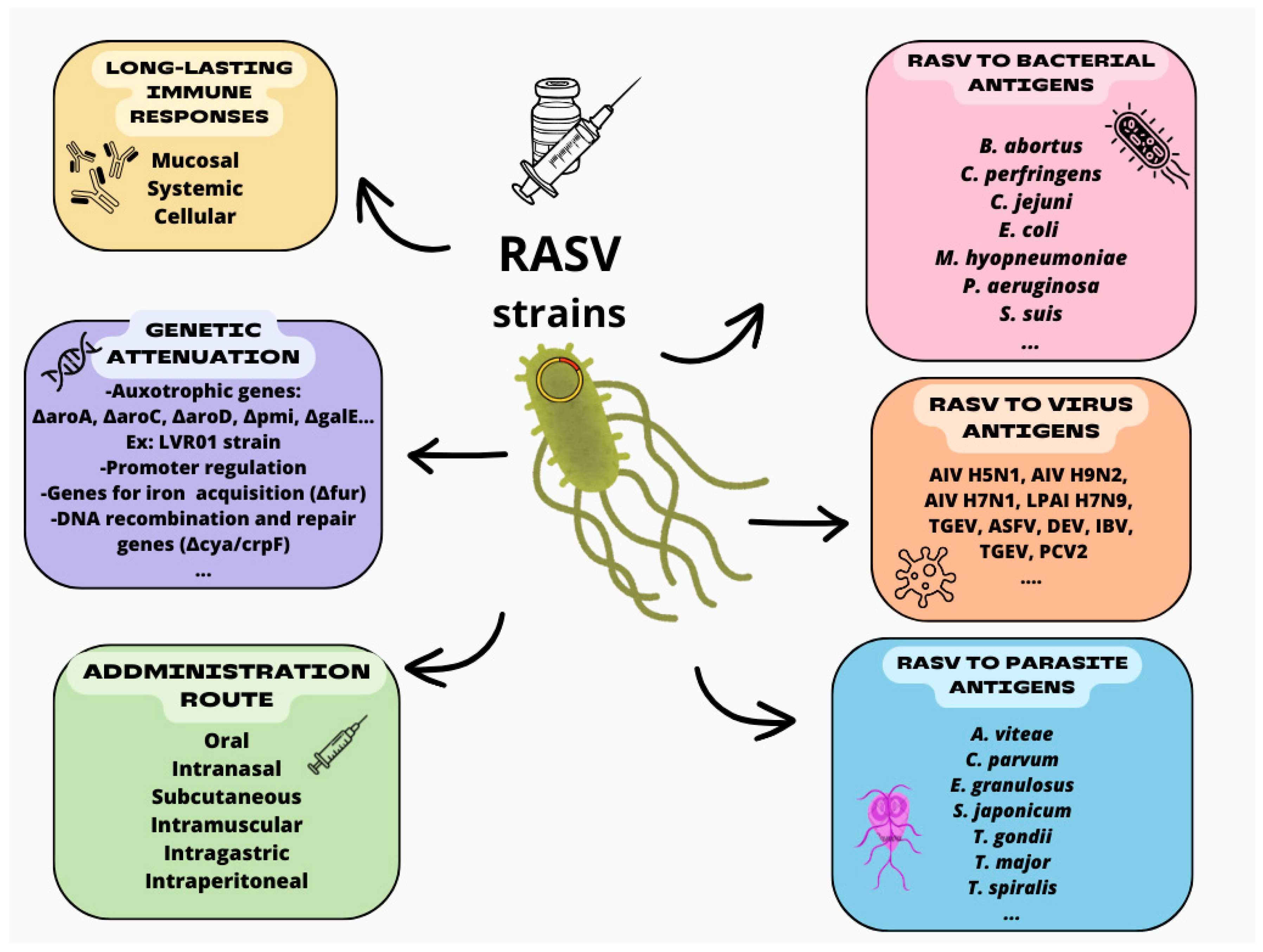 Vaccines 12 01319 g001