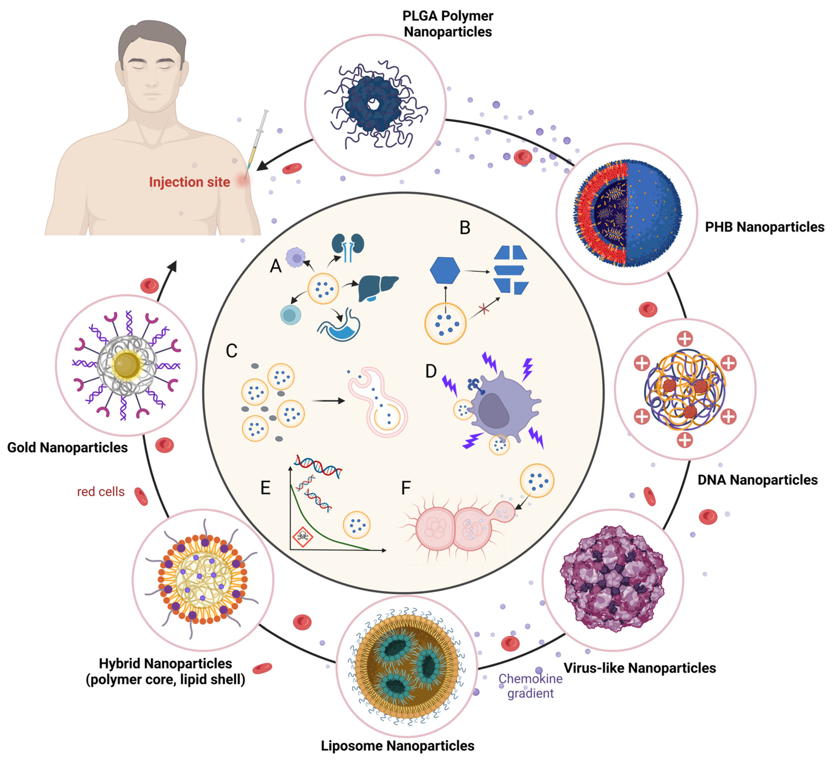 Vaccines 12 01335 g003