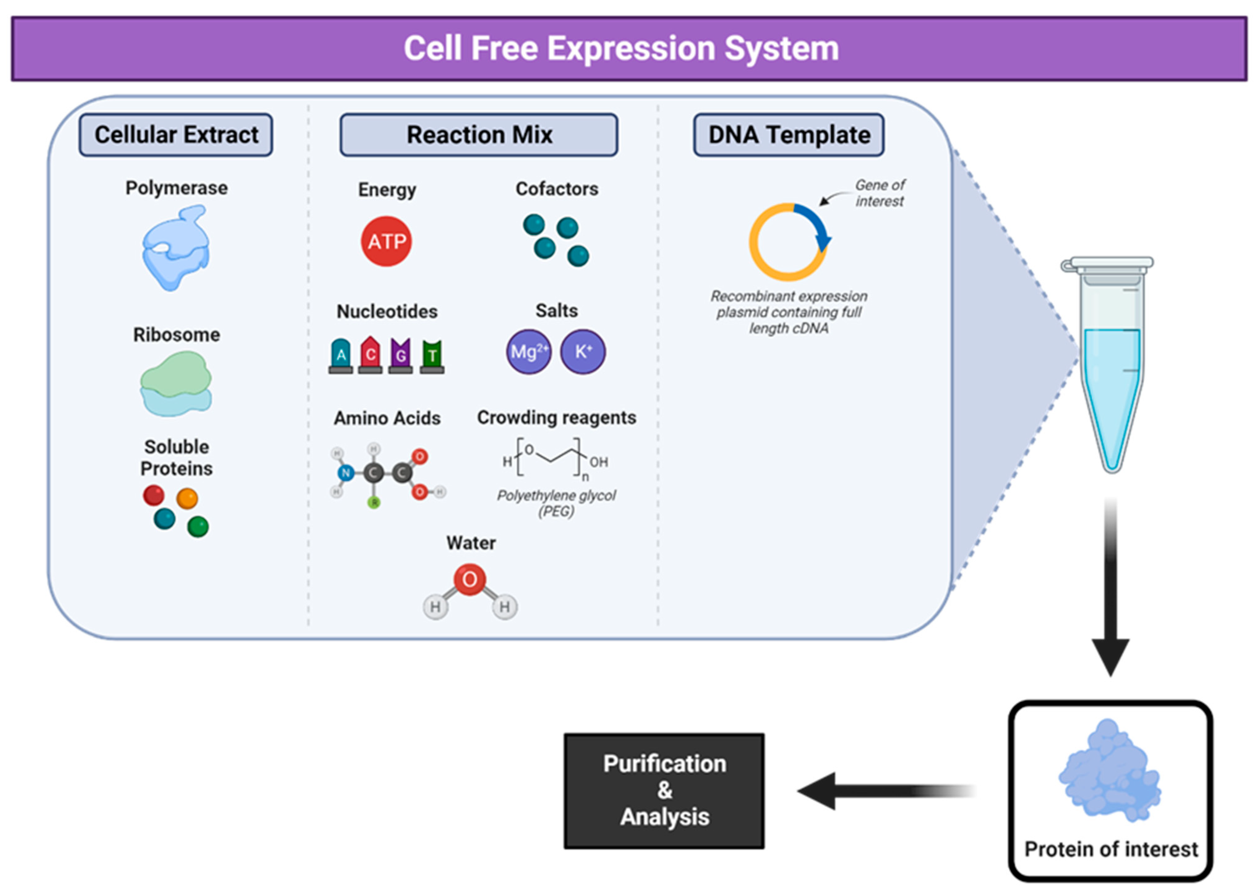 Vaccines 12 01344 g008
