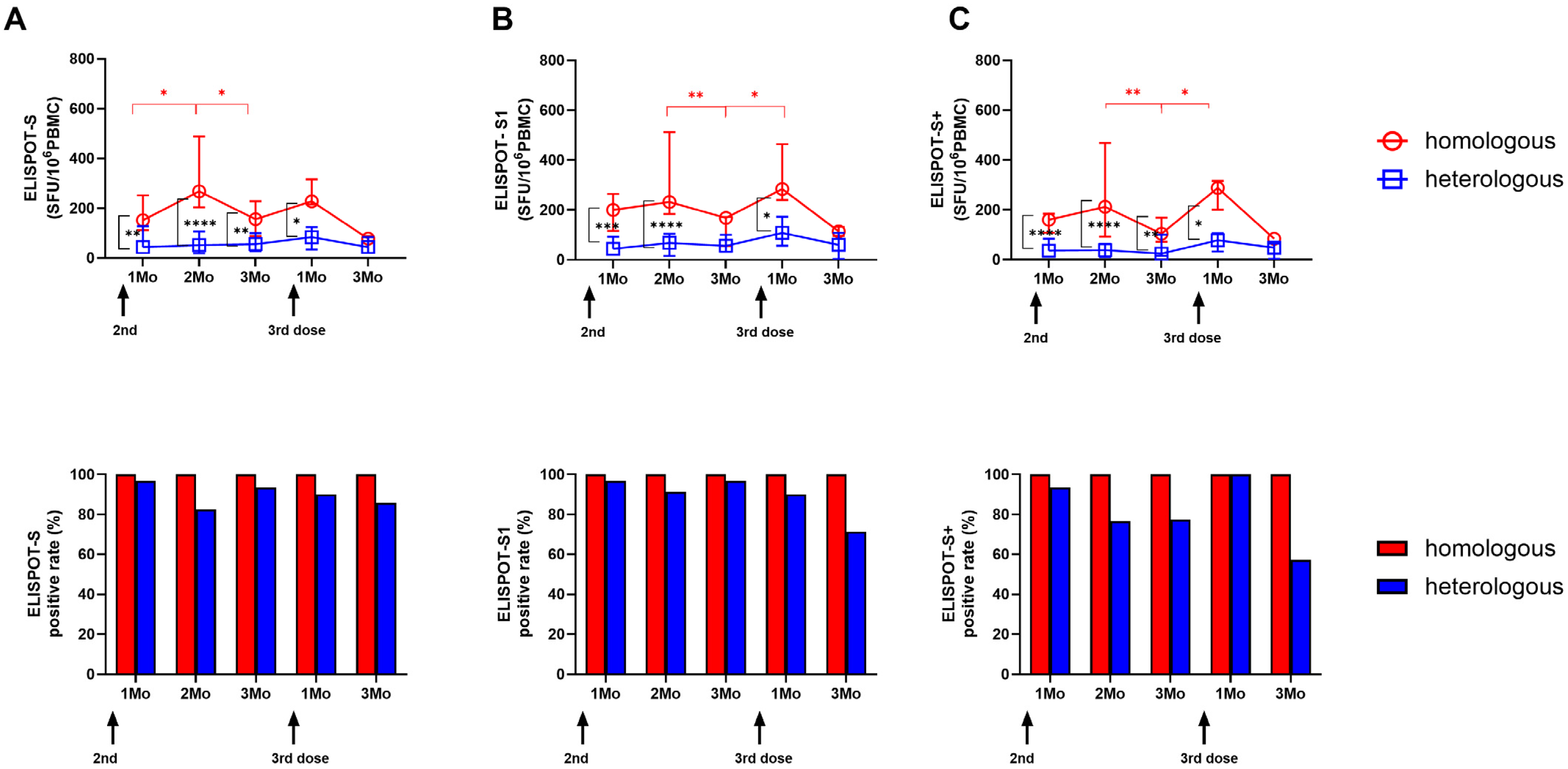 Vaccines 12 01350 g001