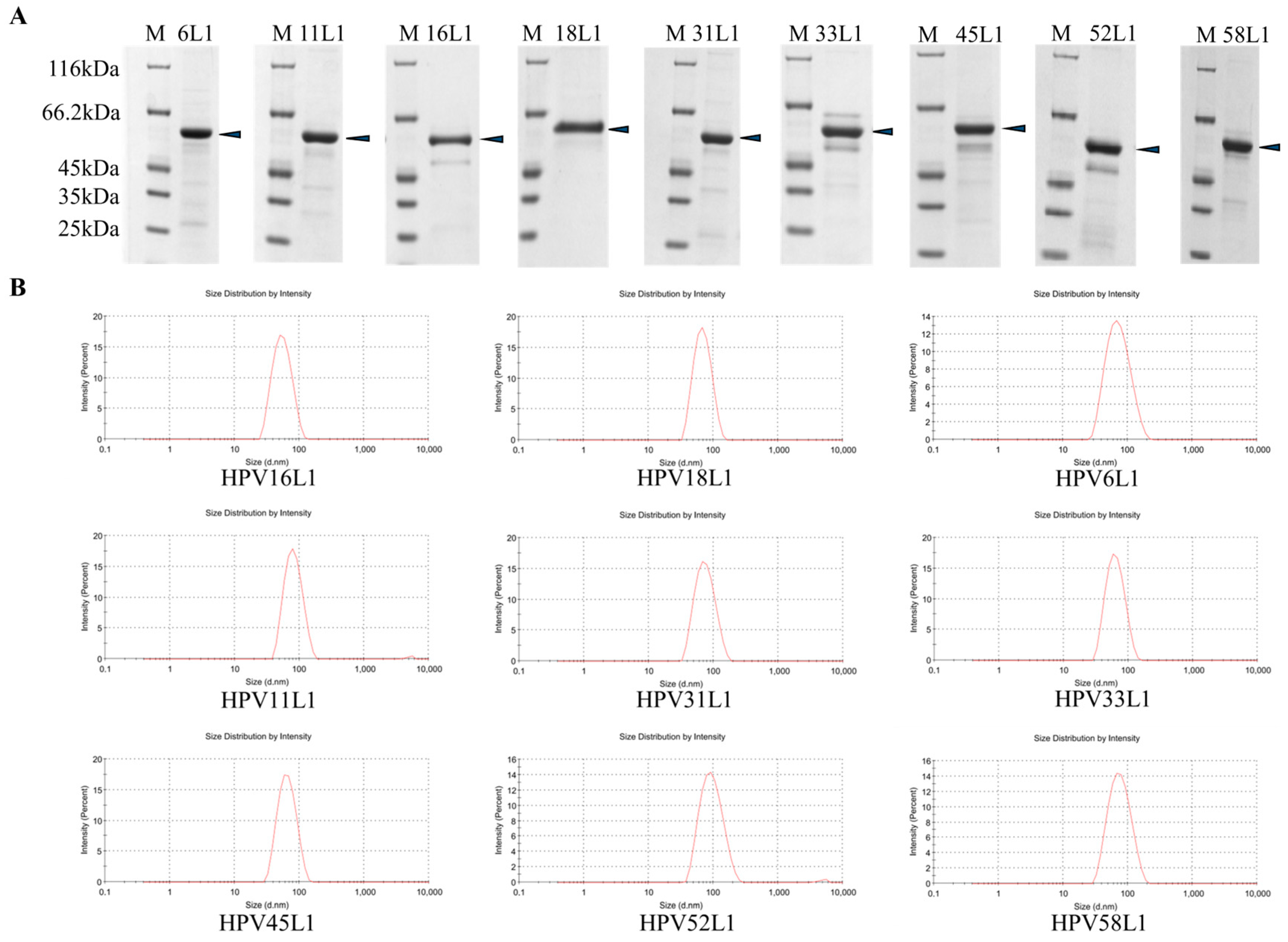 Vaccines 12 01356 g001a