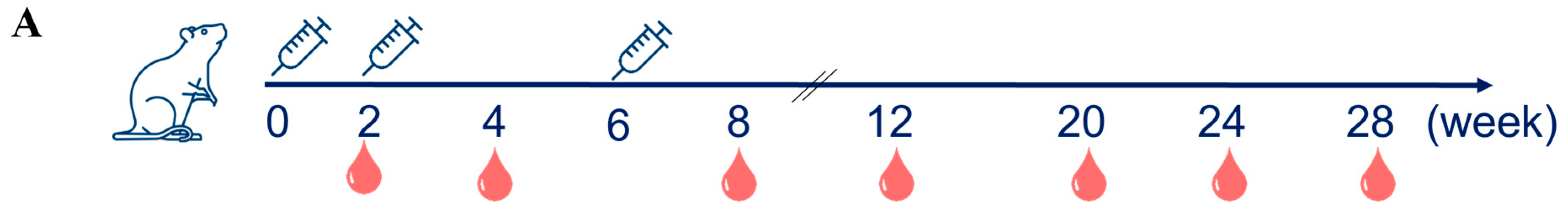 Vaccines 12 01356 g004a