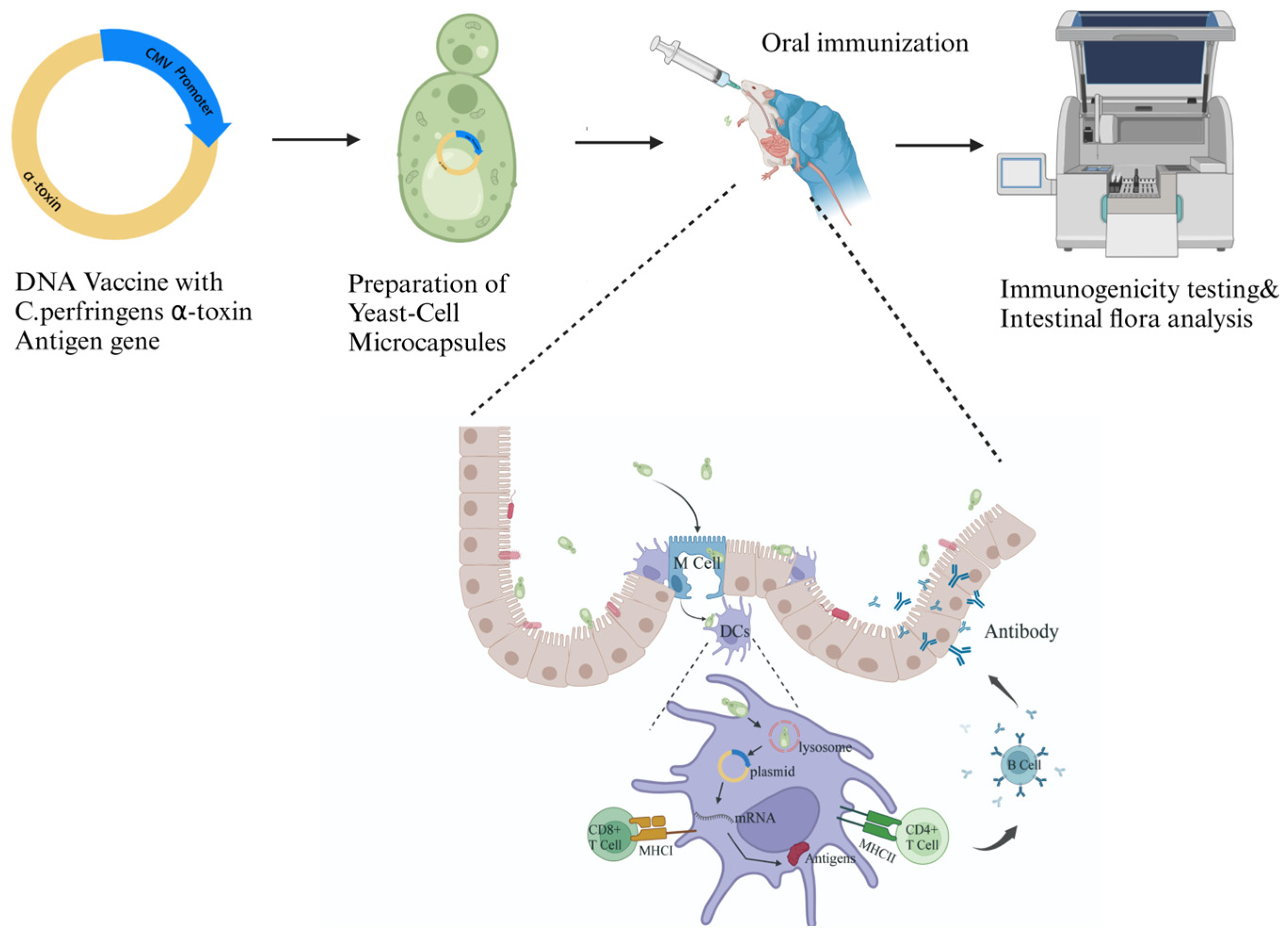 Vaccines 12 01360 g001