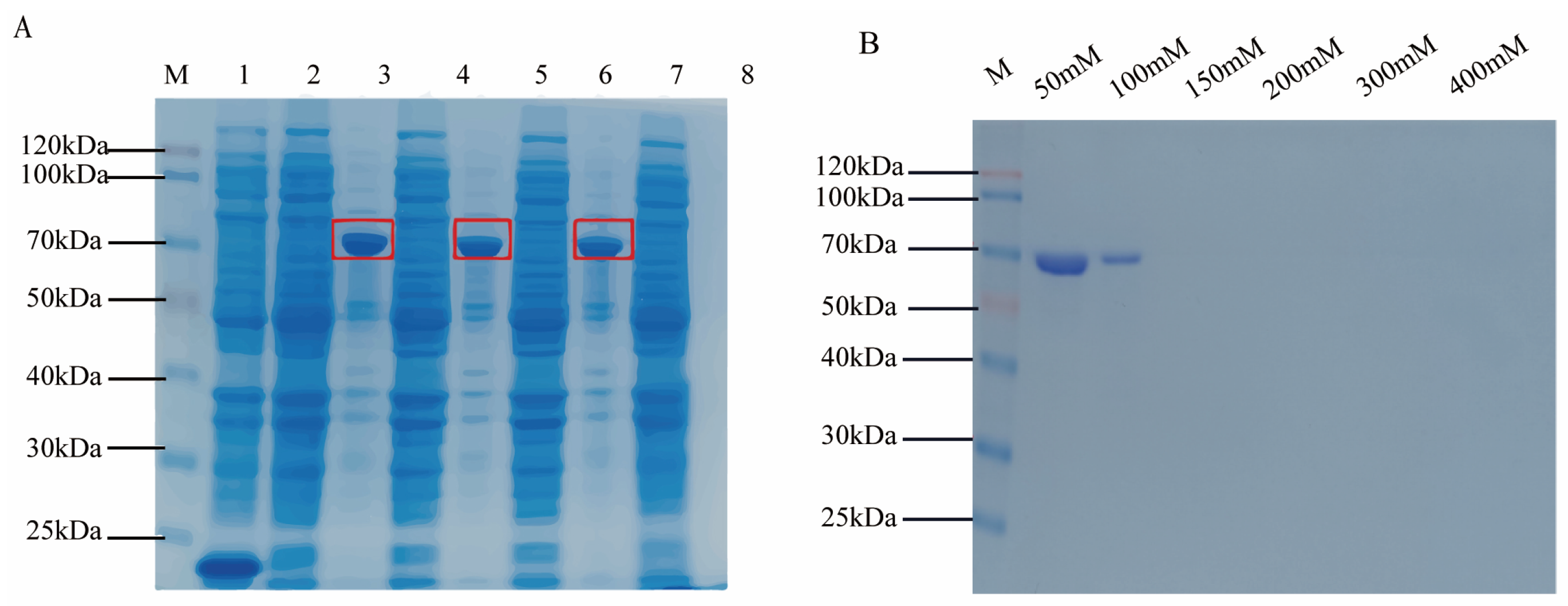 Vaccines 12 01360 g003