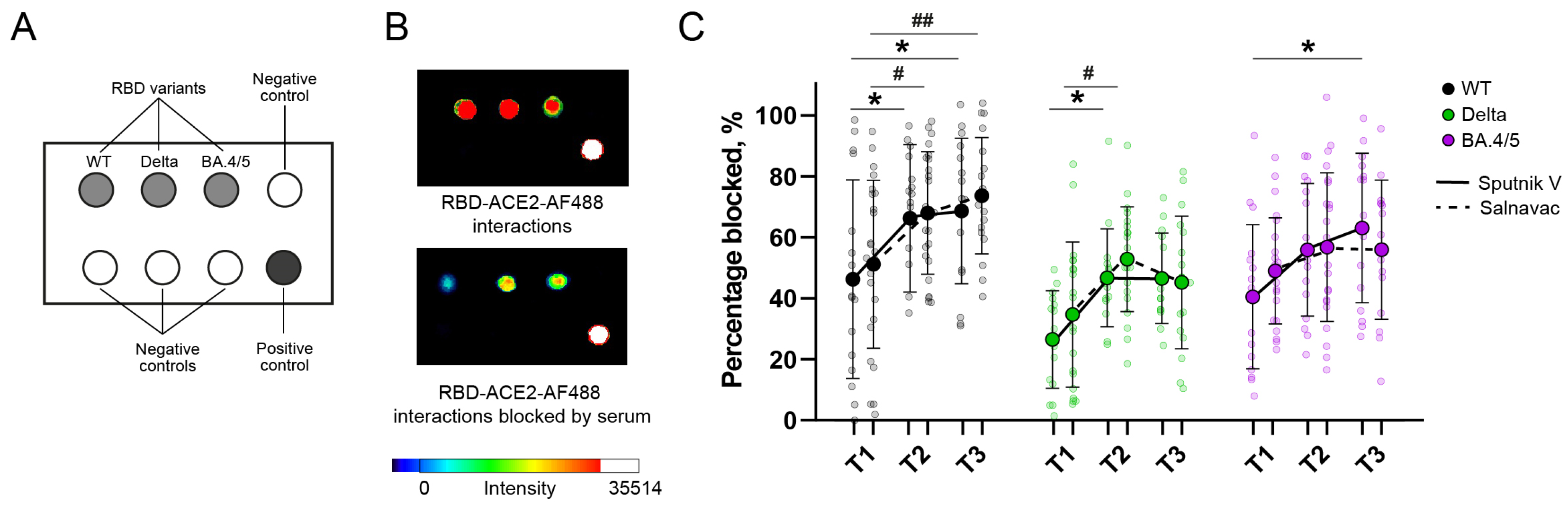 Vaccines 12 01362 g004