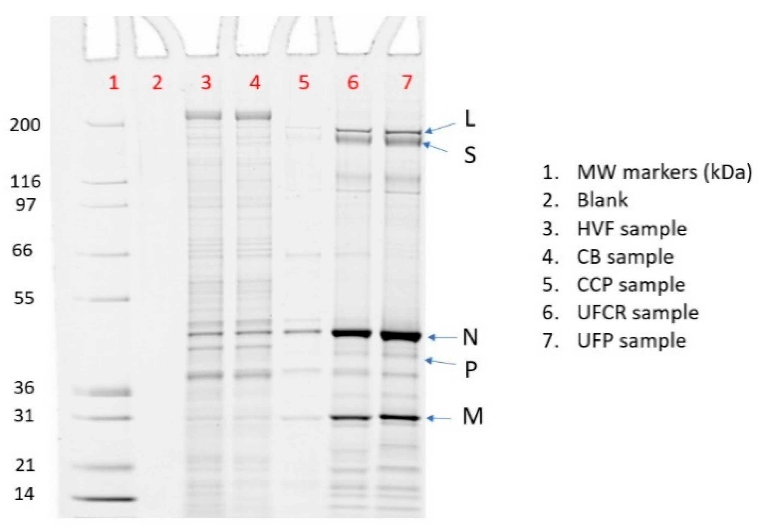 Vaccines 12 01373 g005