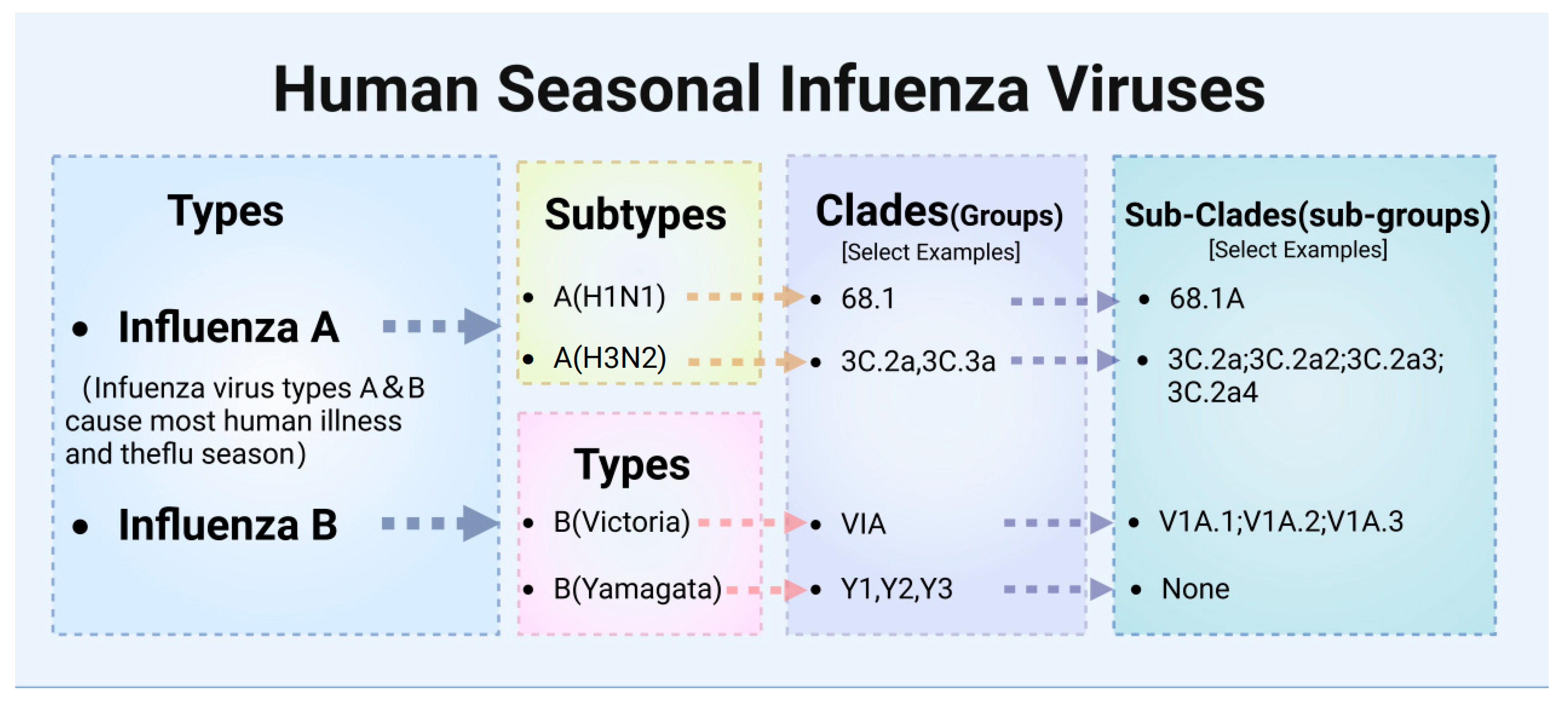 Vaccines 12 01382 g001