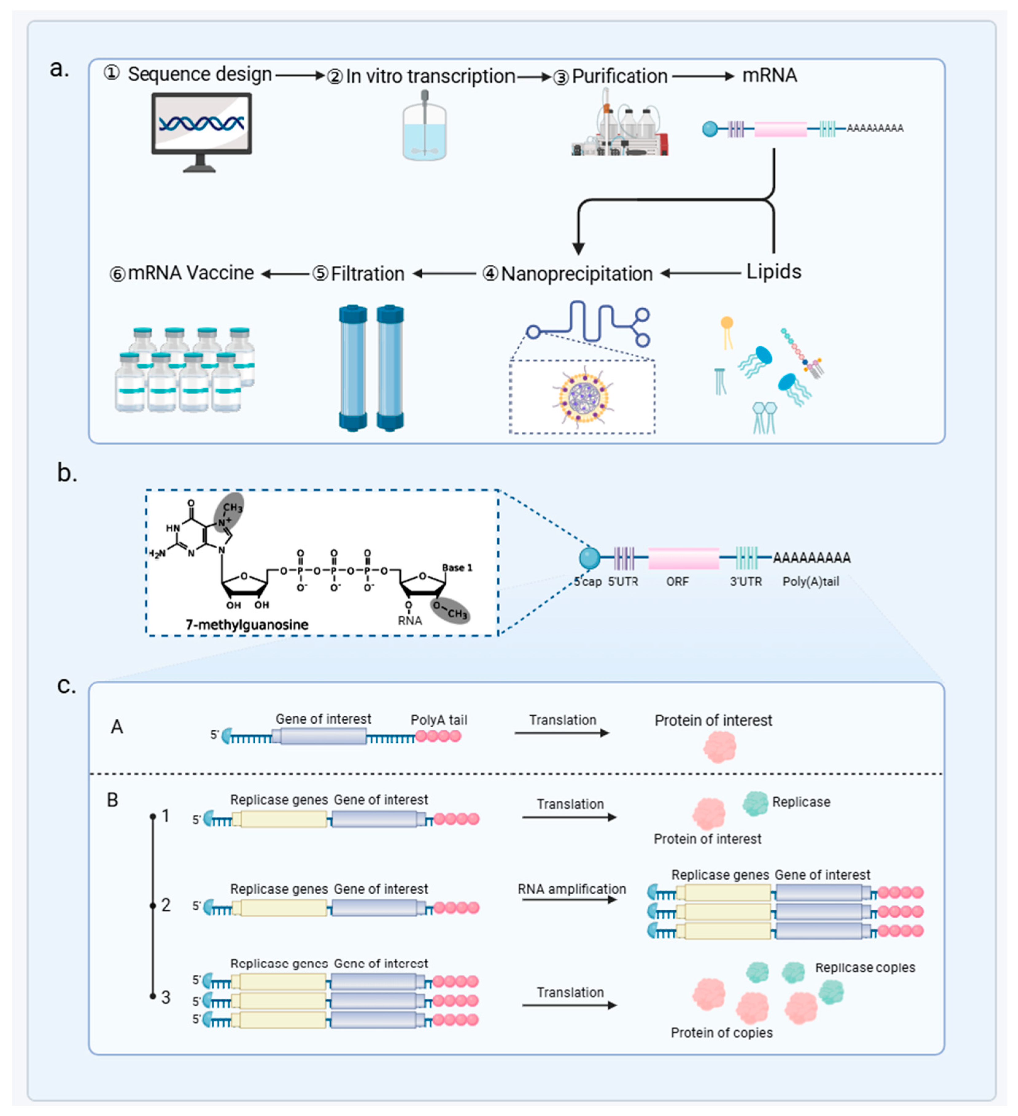 Vaccines 12 01382 g003