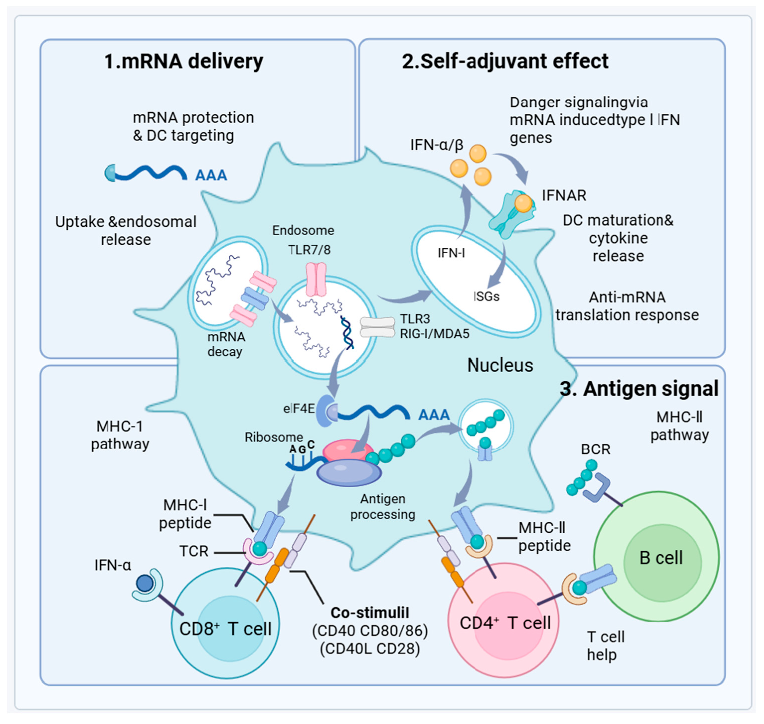 Vaccines 12 01382 g004