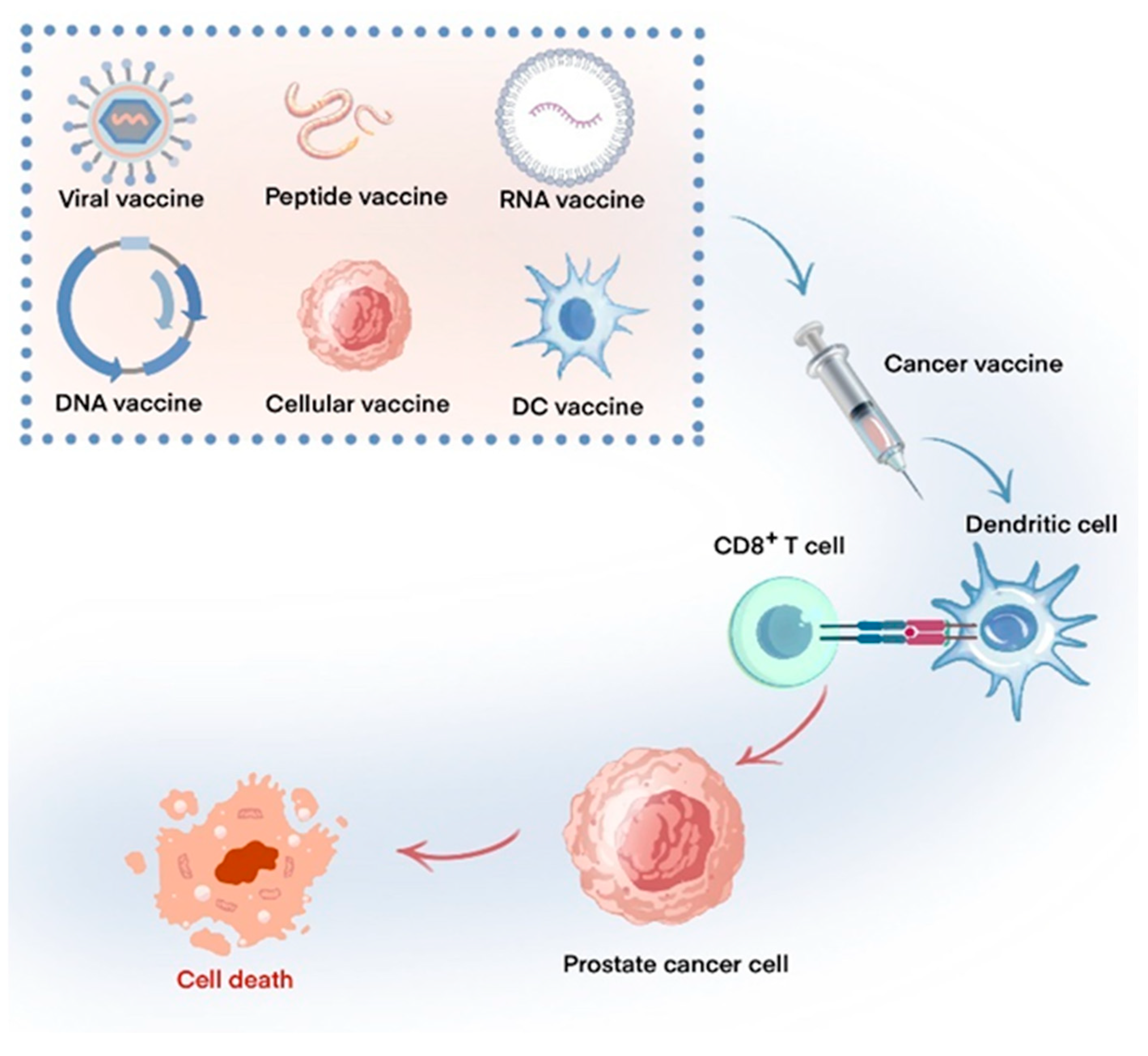 Vaccines 12 01384 g001