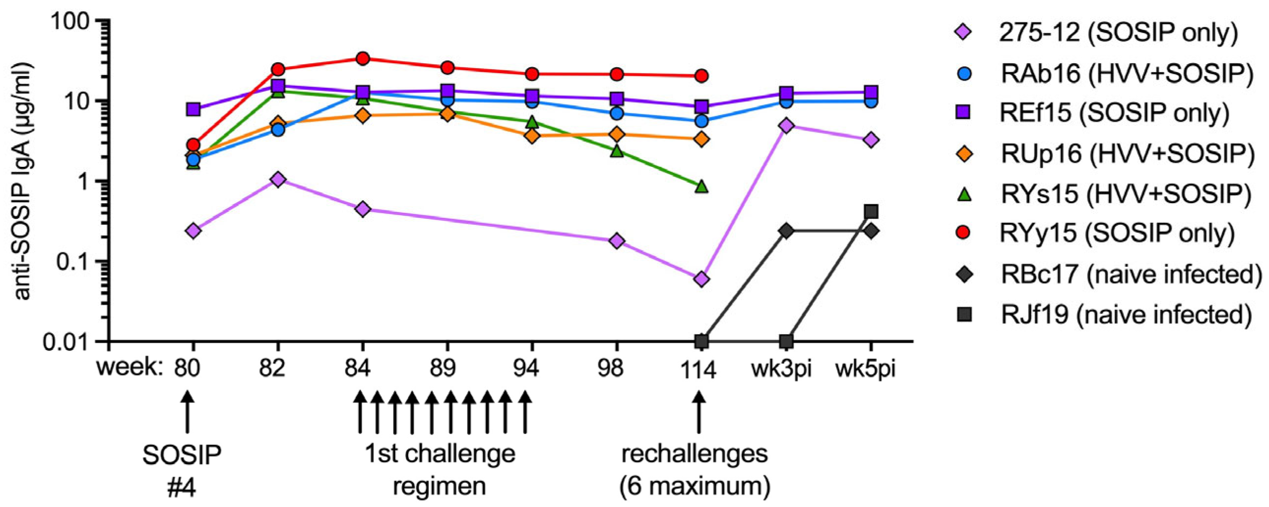 Vaccines 12 01386 g001