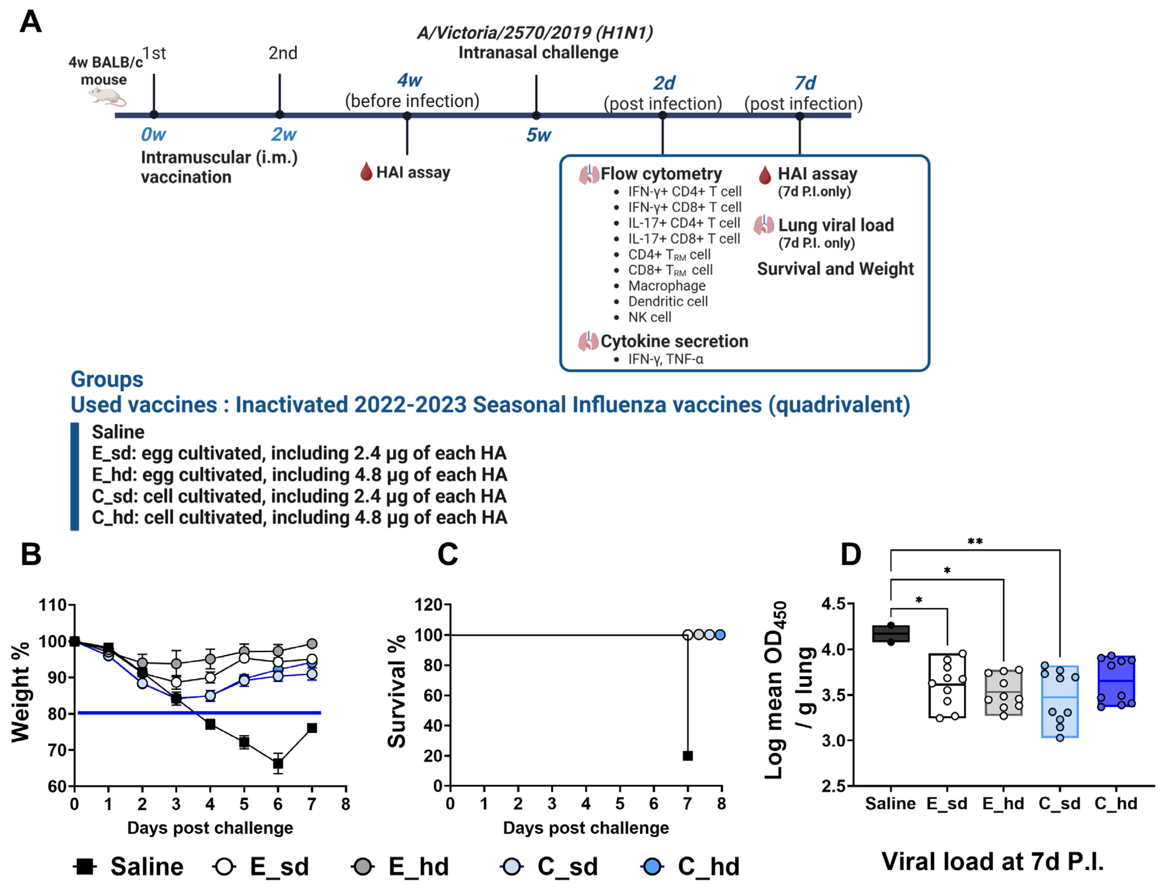 Vaccines 12 01392 g001