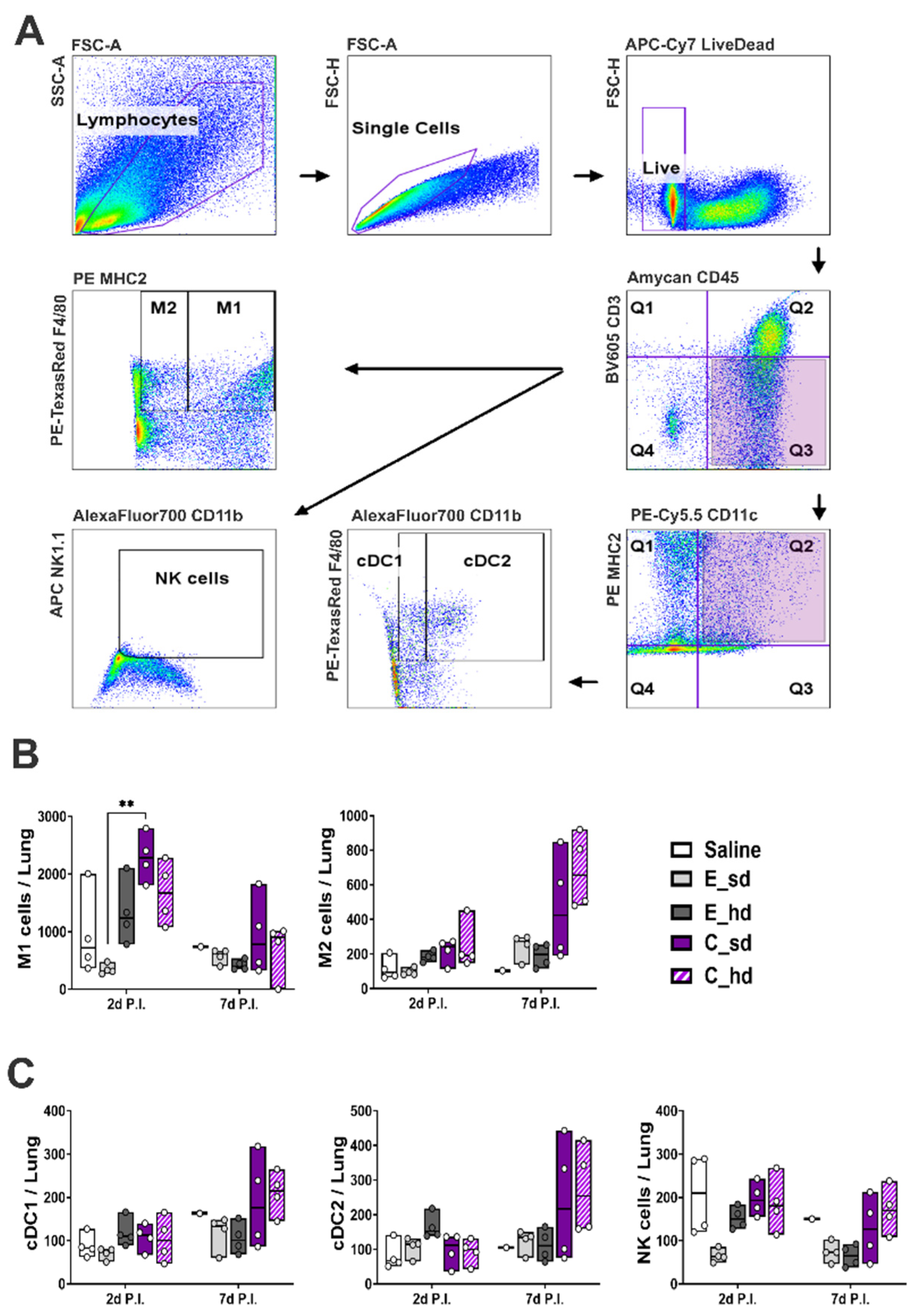Vaccines 12 01392 g003
