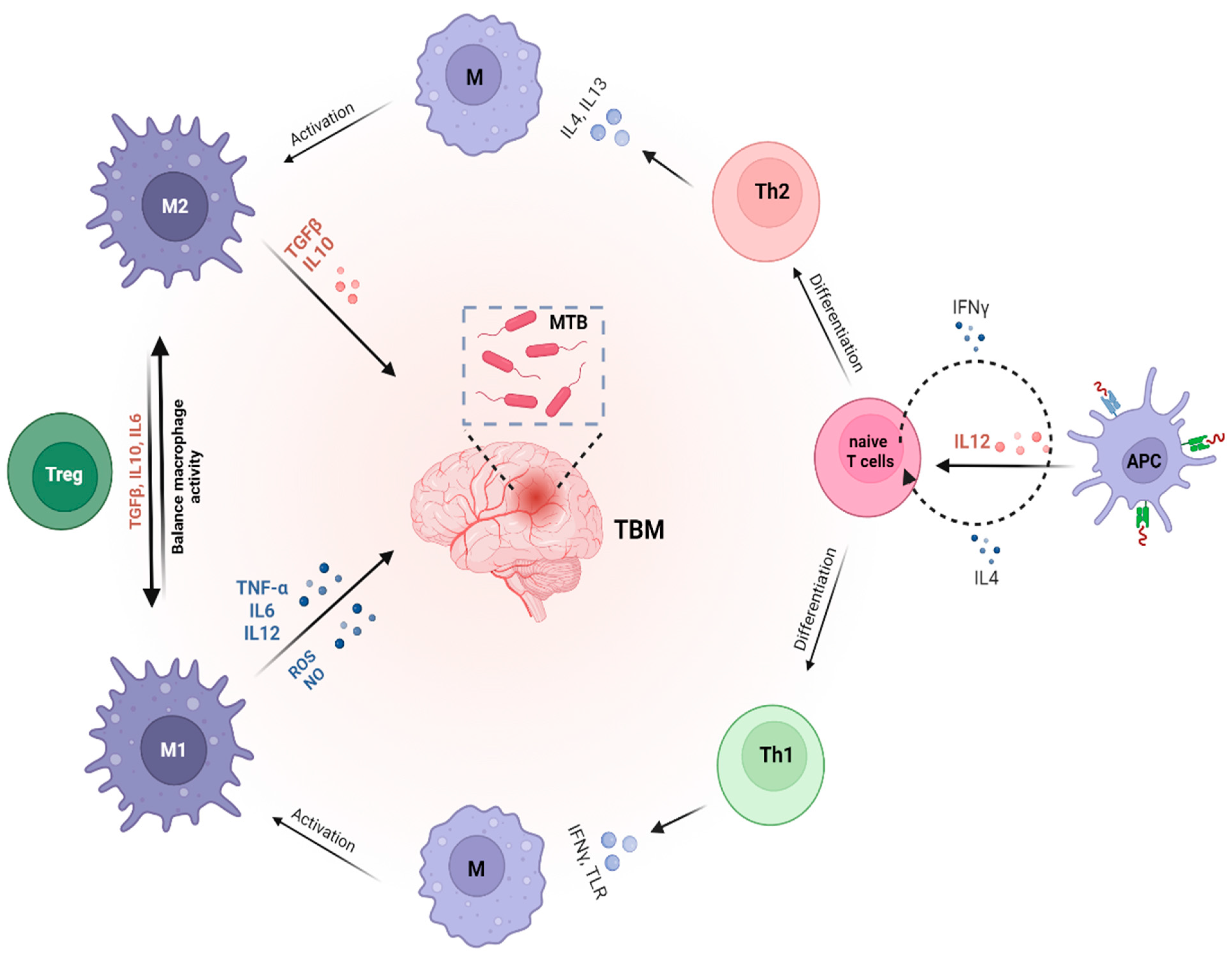 Vaccines 12 01397 g001