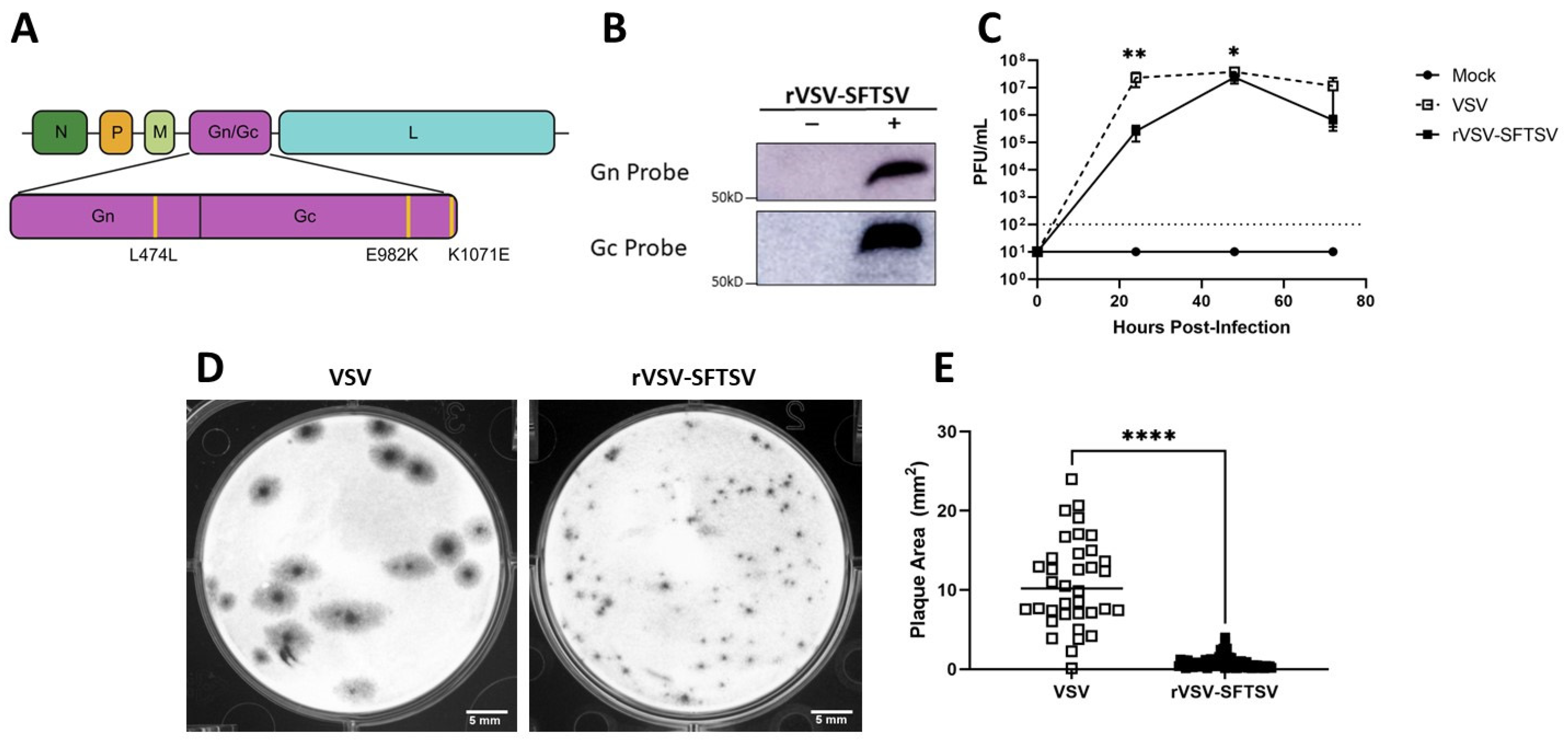 Vaccines 12 01403 g001