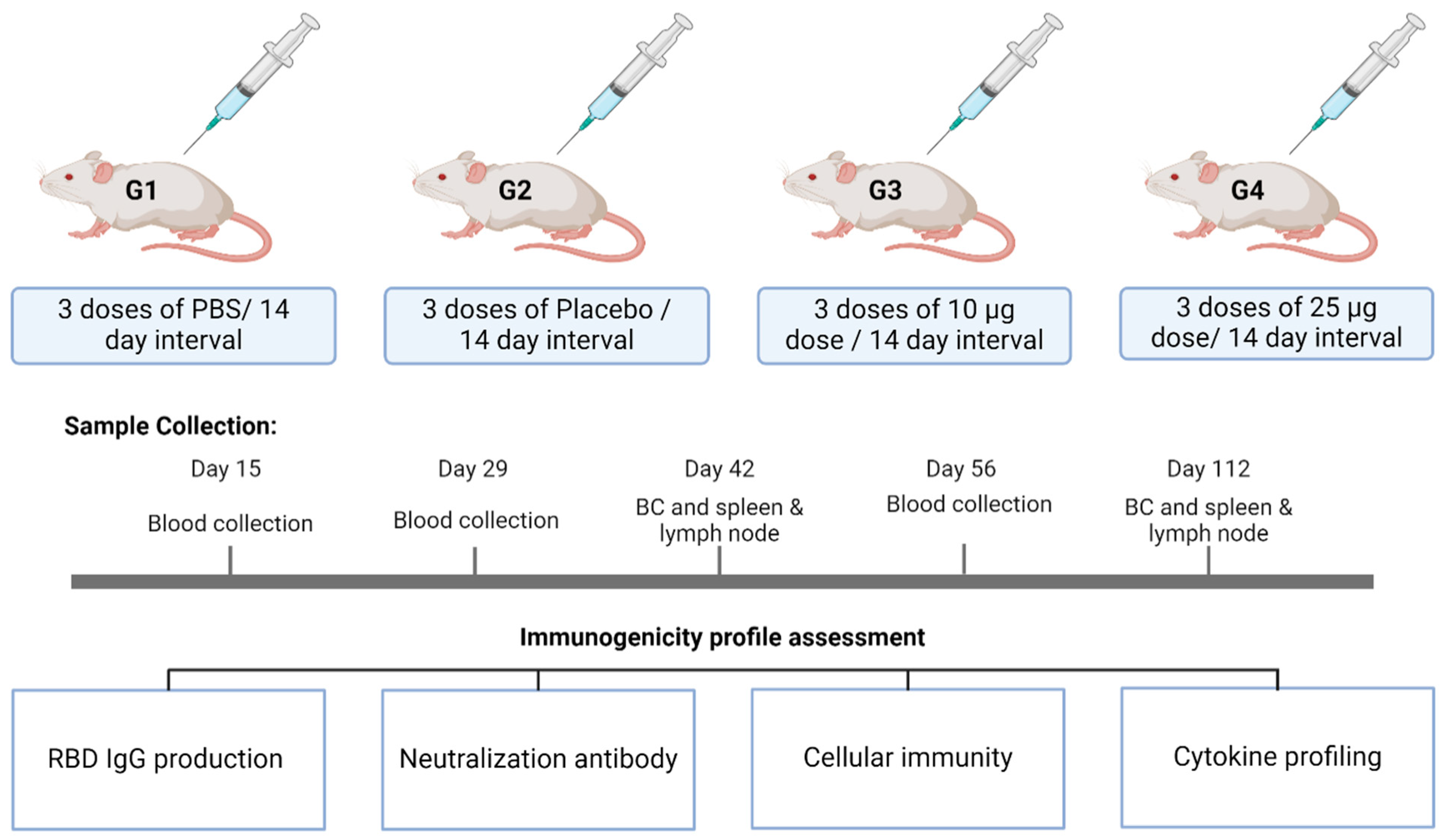 Vaccines 12 01420 g001