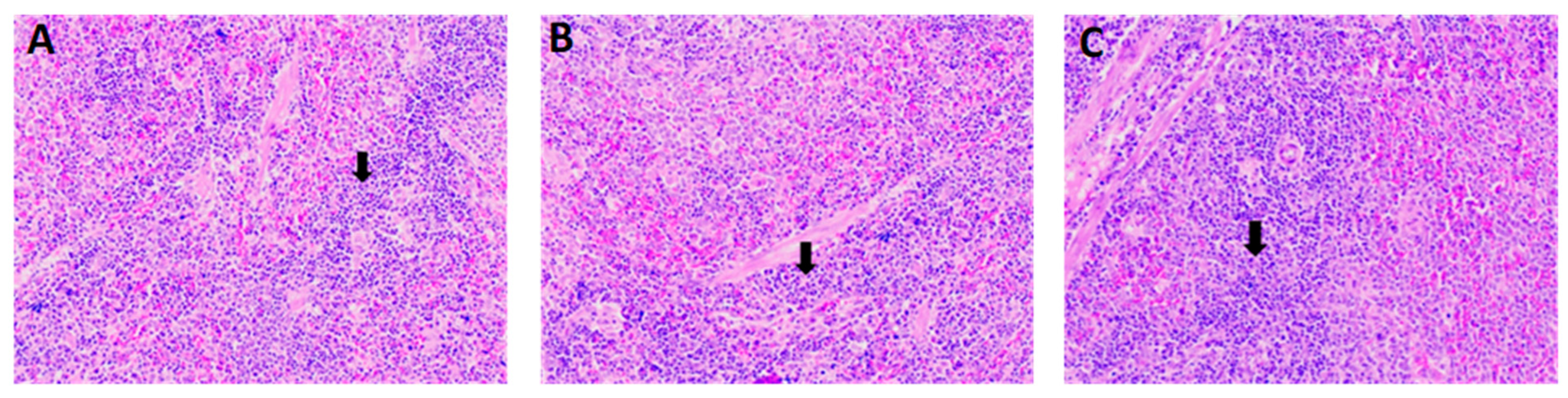 Vaccines 12 01420 g004