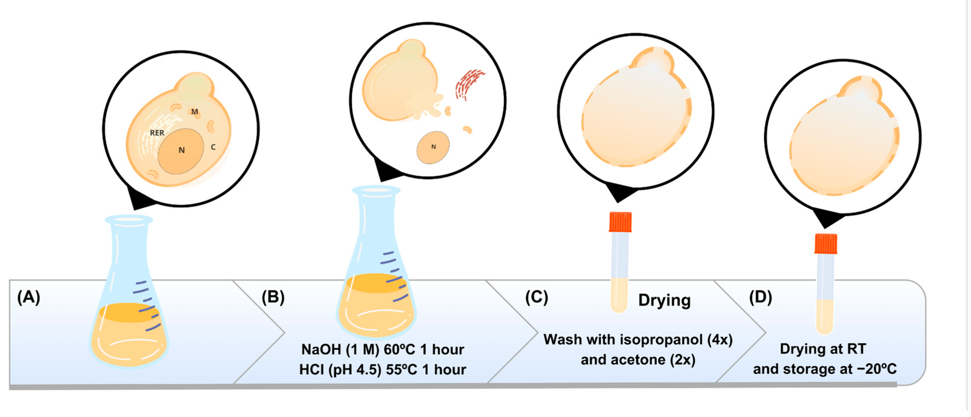 Vaccines 12 01428 g001