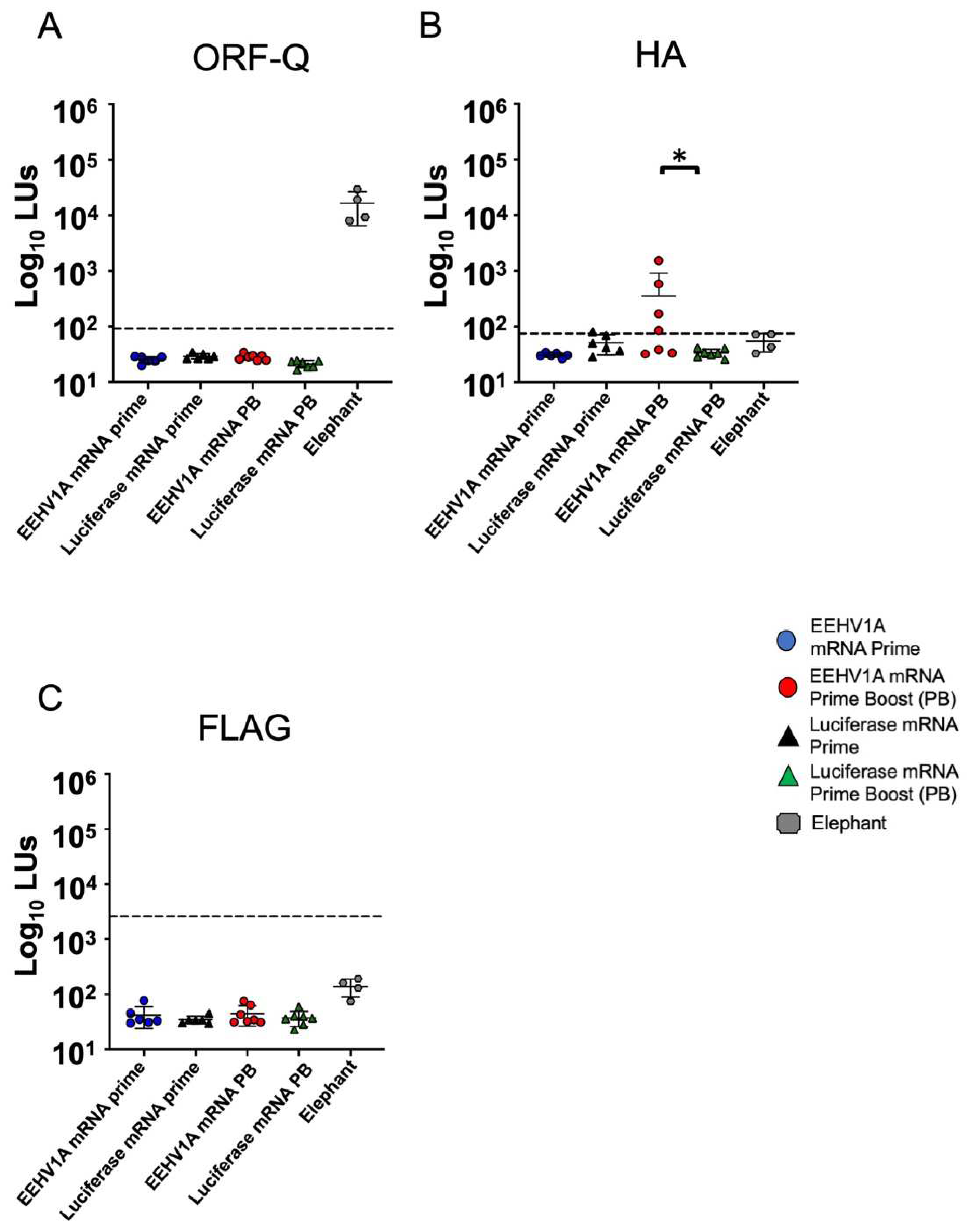 Vaccines 12 01429 g005