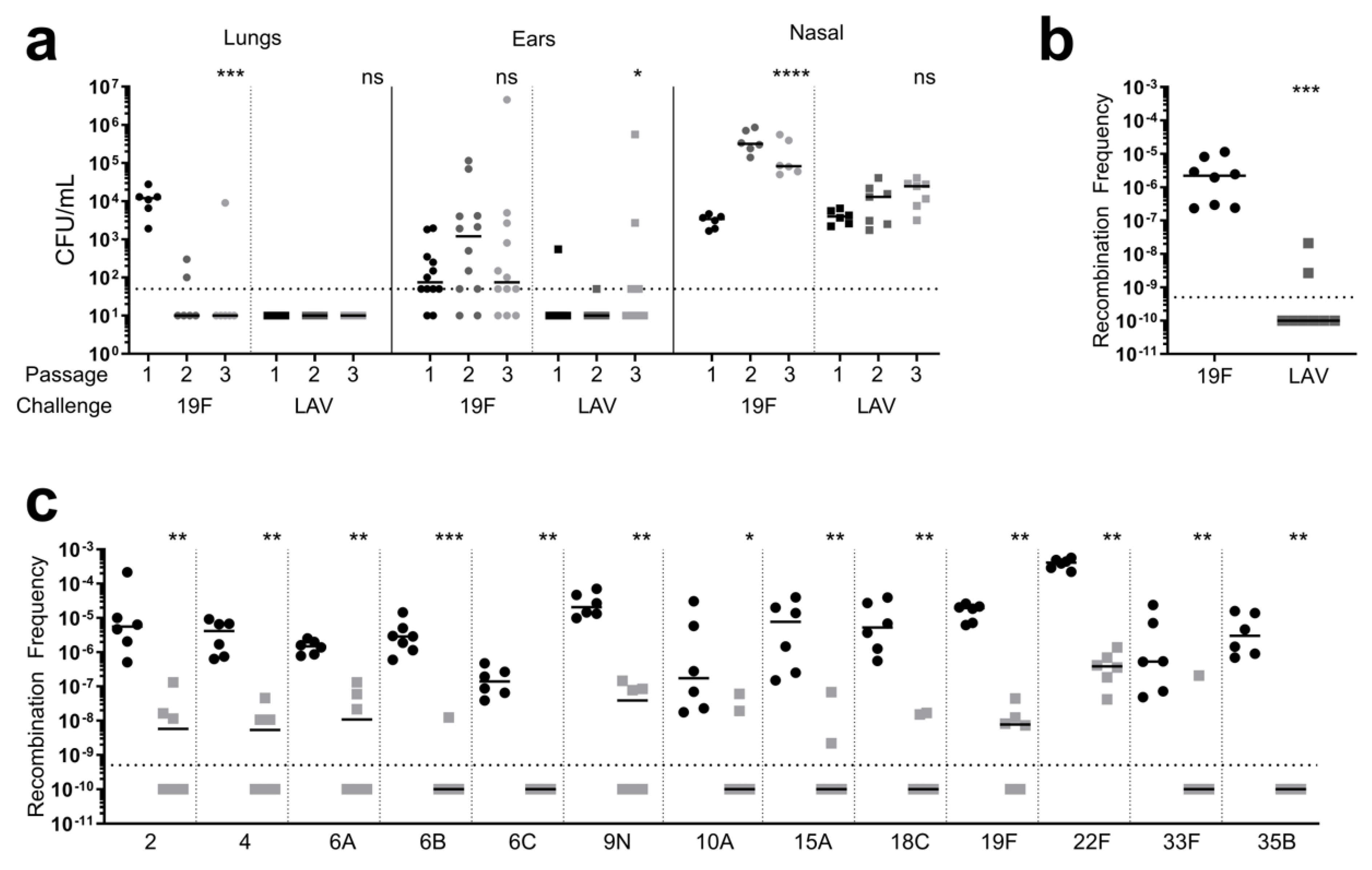 Vaccines 12 01432 g001