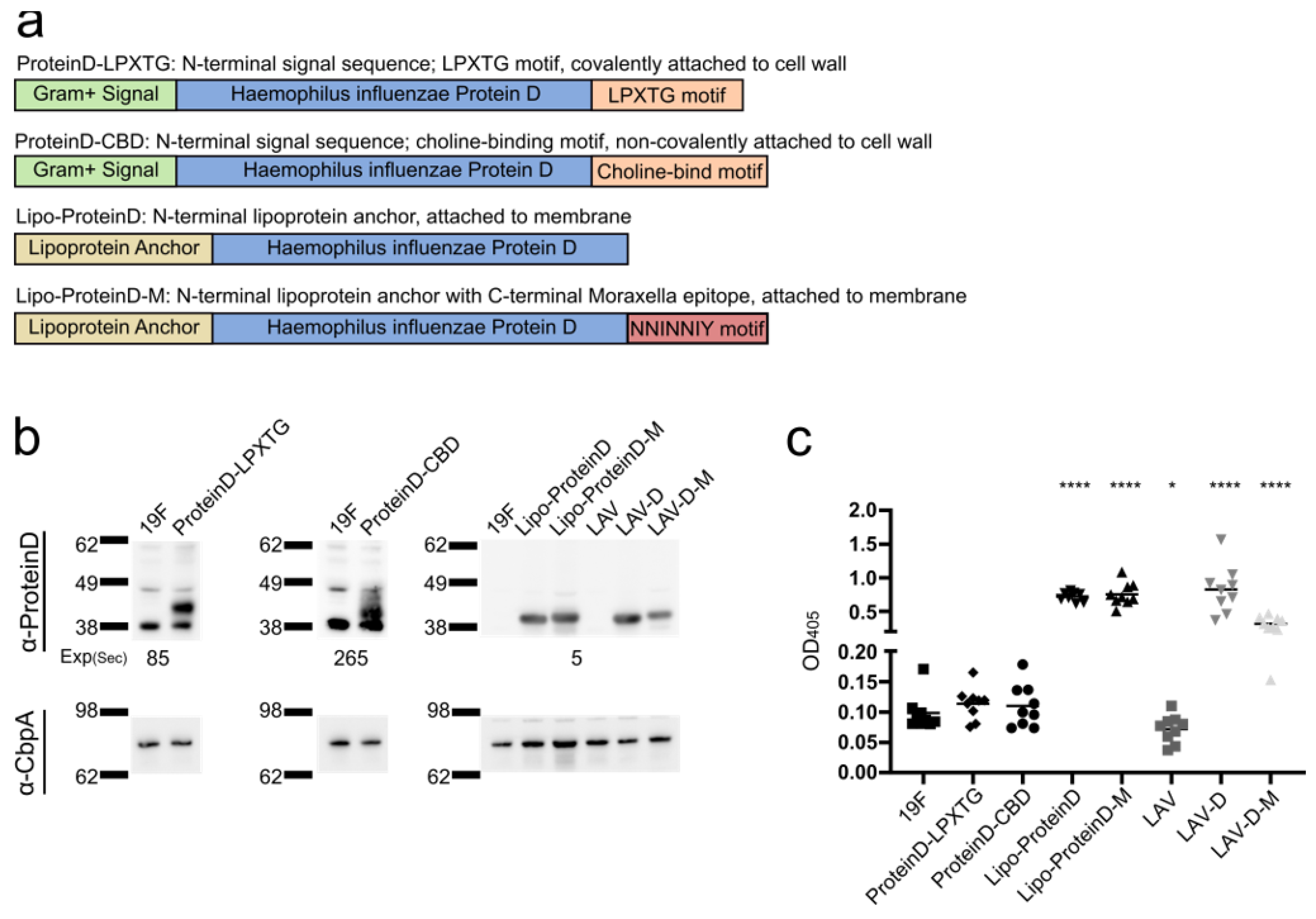 Vaccines 12 01432 g004
