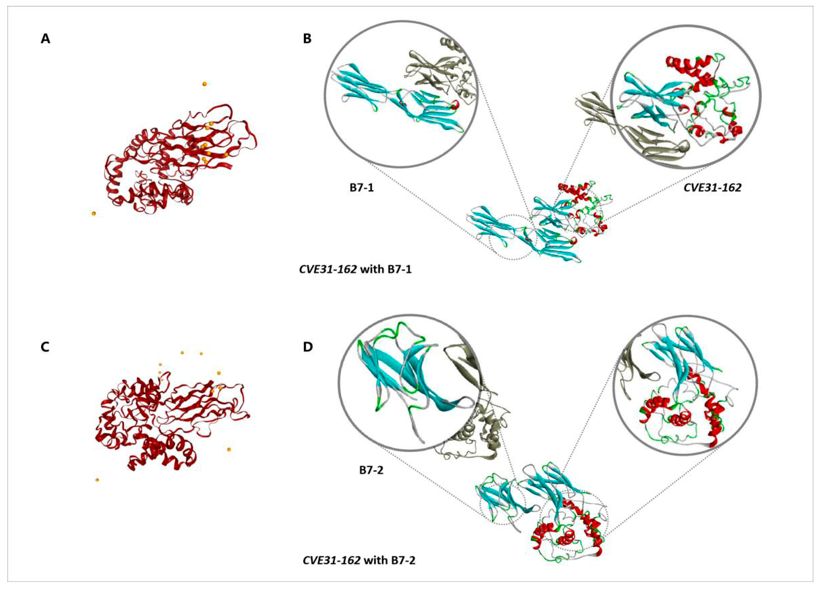 Vaccines 12 01440 g003