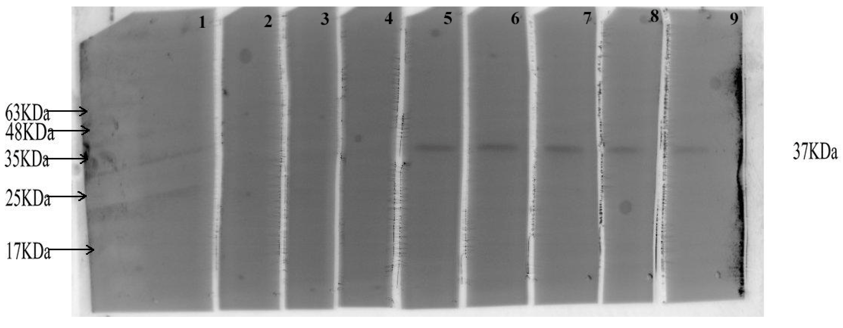 Vaccines 12 01440 g007