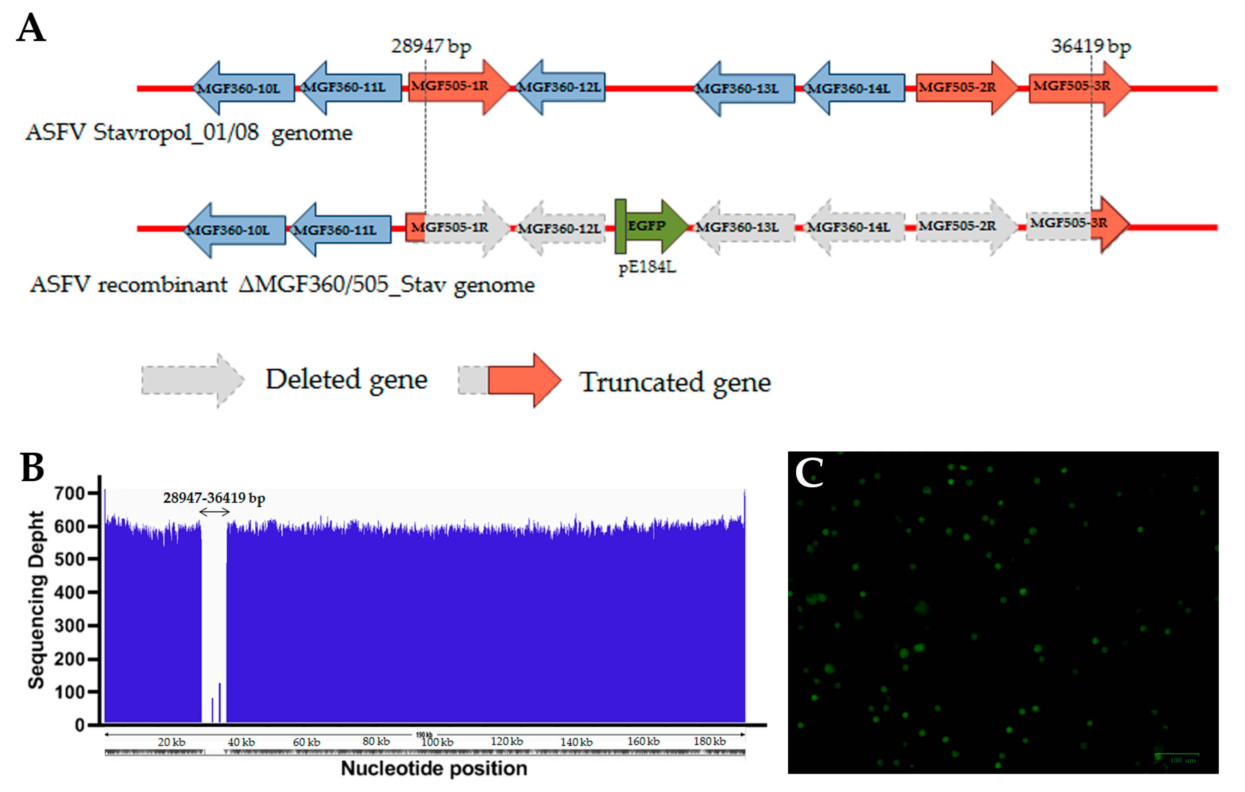 Vaccines 12 01443 g001