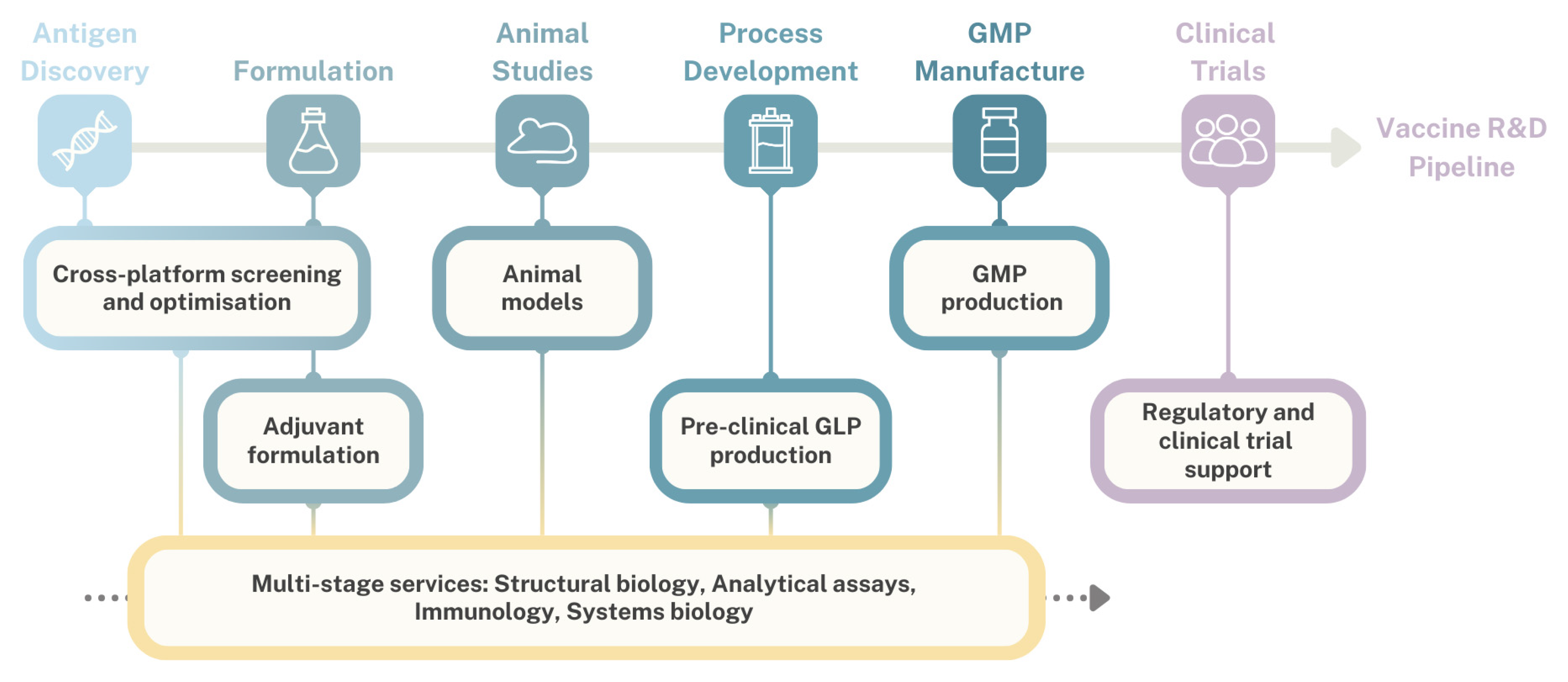 Vaccines 12 01446 g004