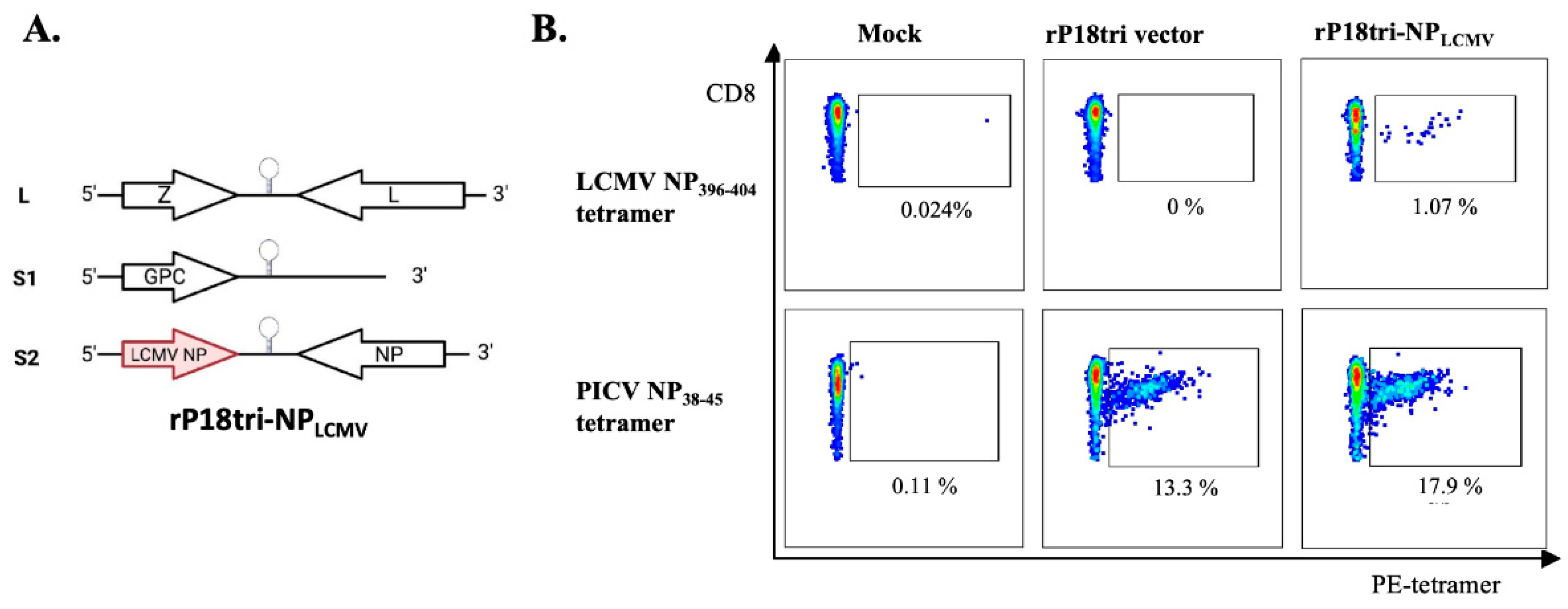 Vaccines 12 01450 g001