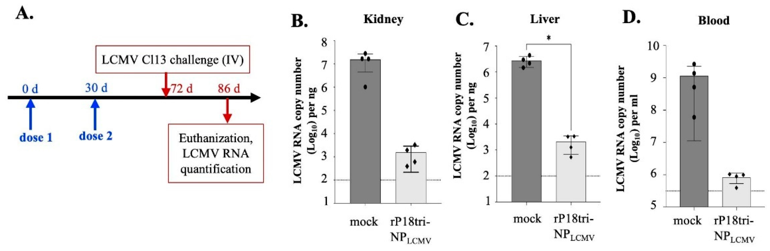 Vaccines 12 01450 g006