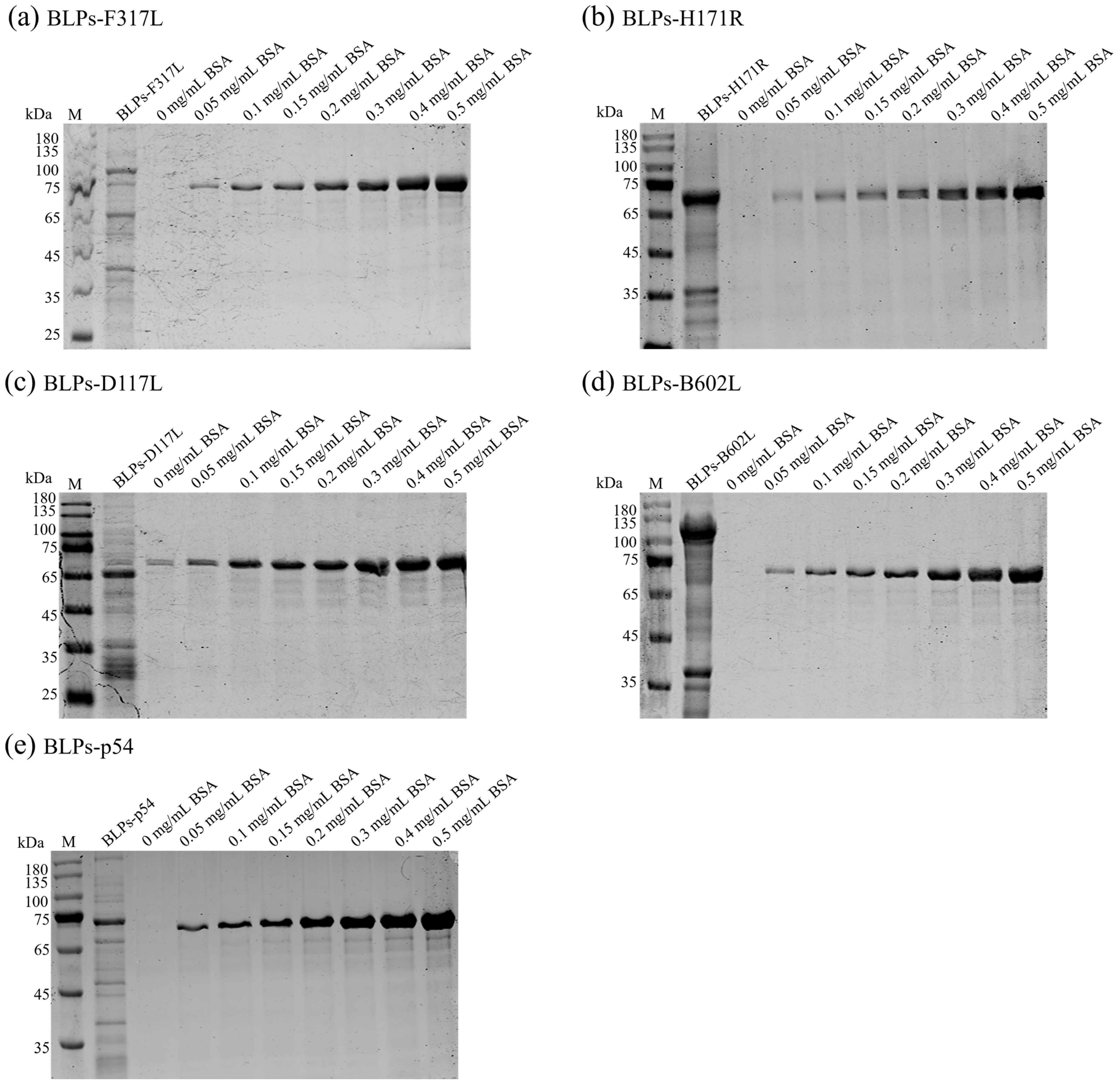 Vaccines 13 00005 g003