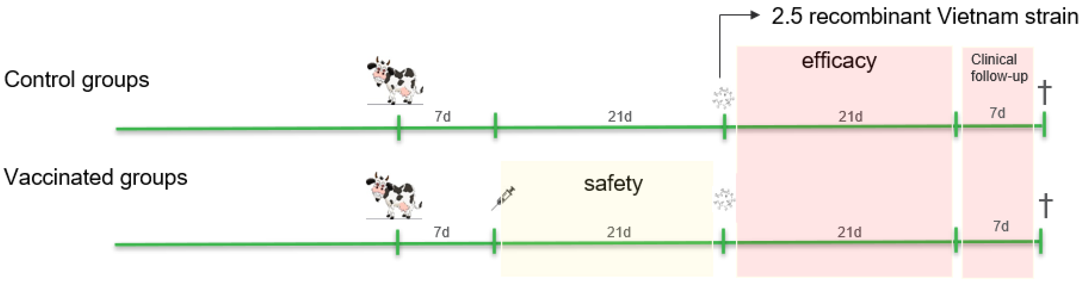 Vaccines 13 00008 g001 Vaccines 13 00008 g001