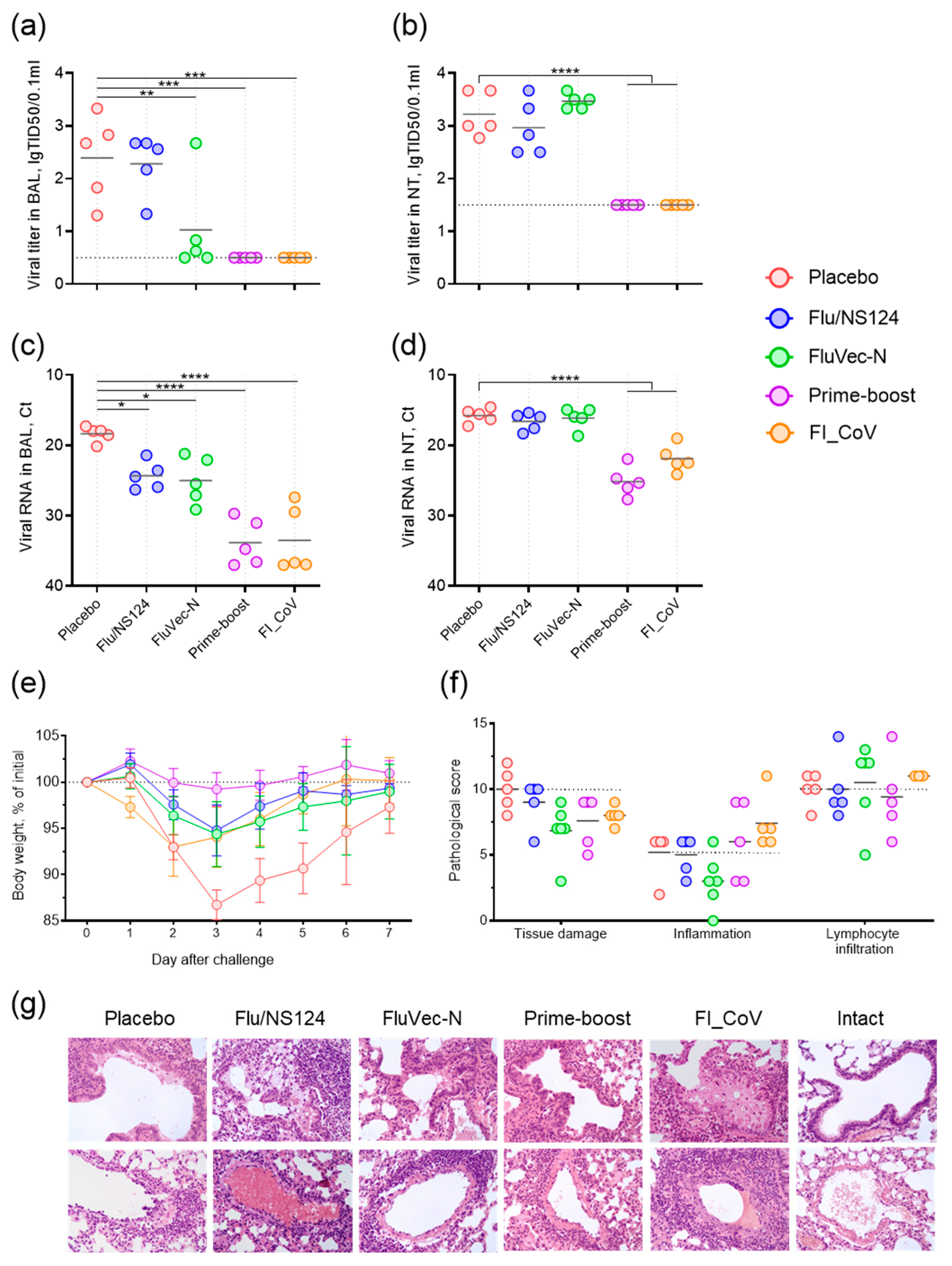 Vaccines 13 00015 g004