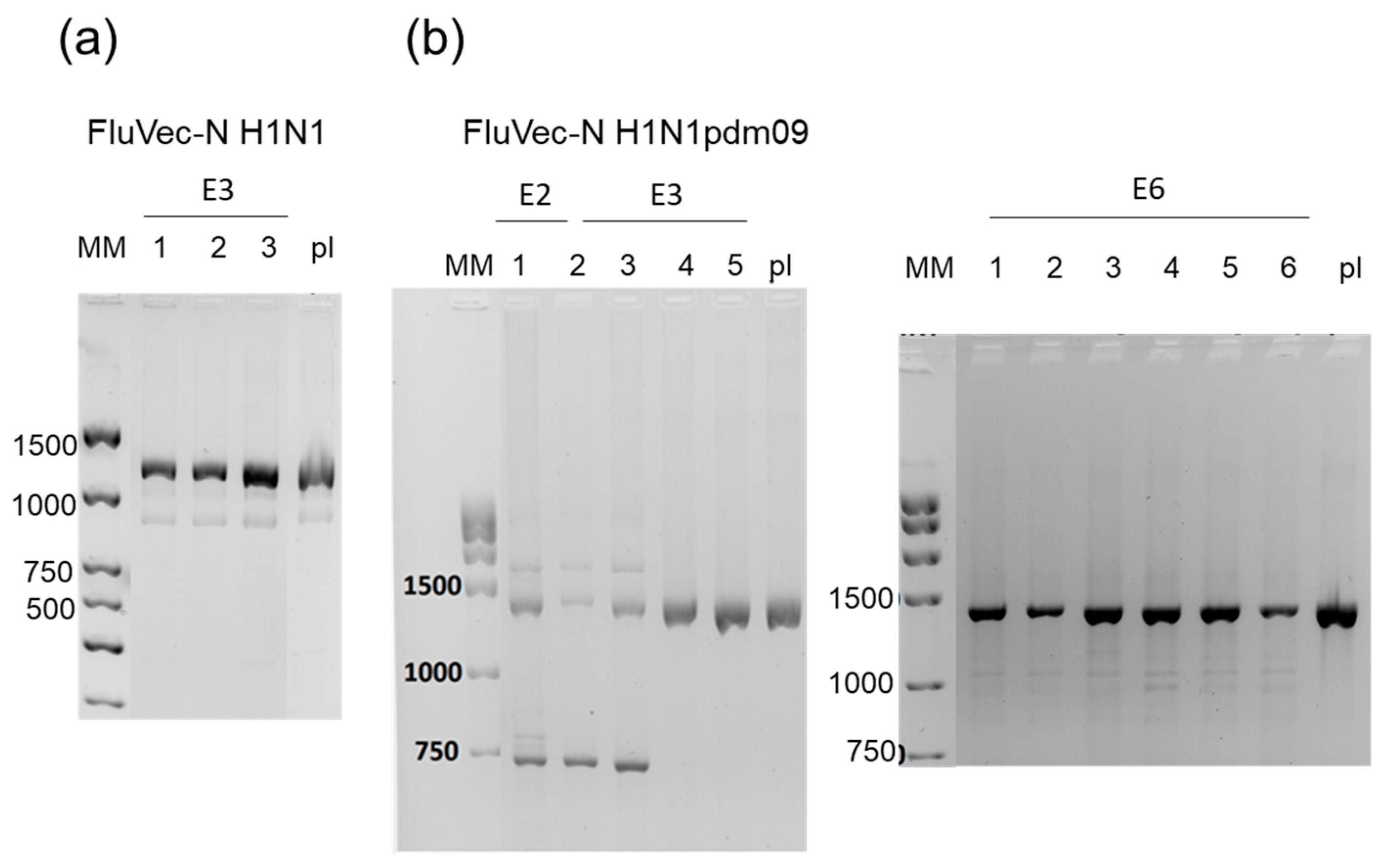 Vaccines 13 00015 g0a3