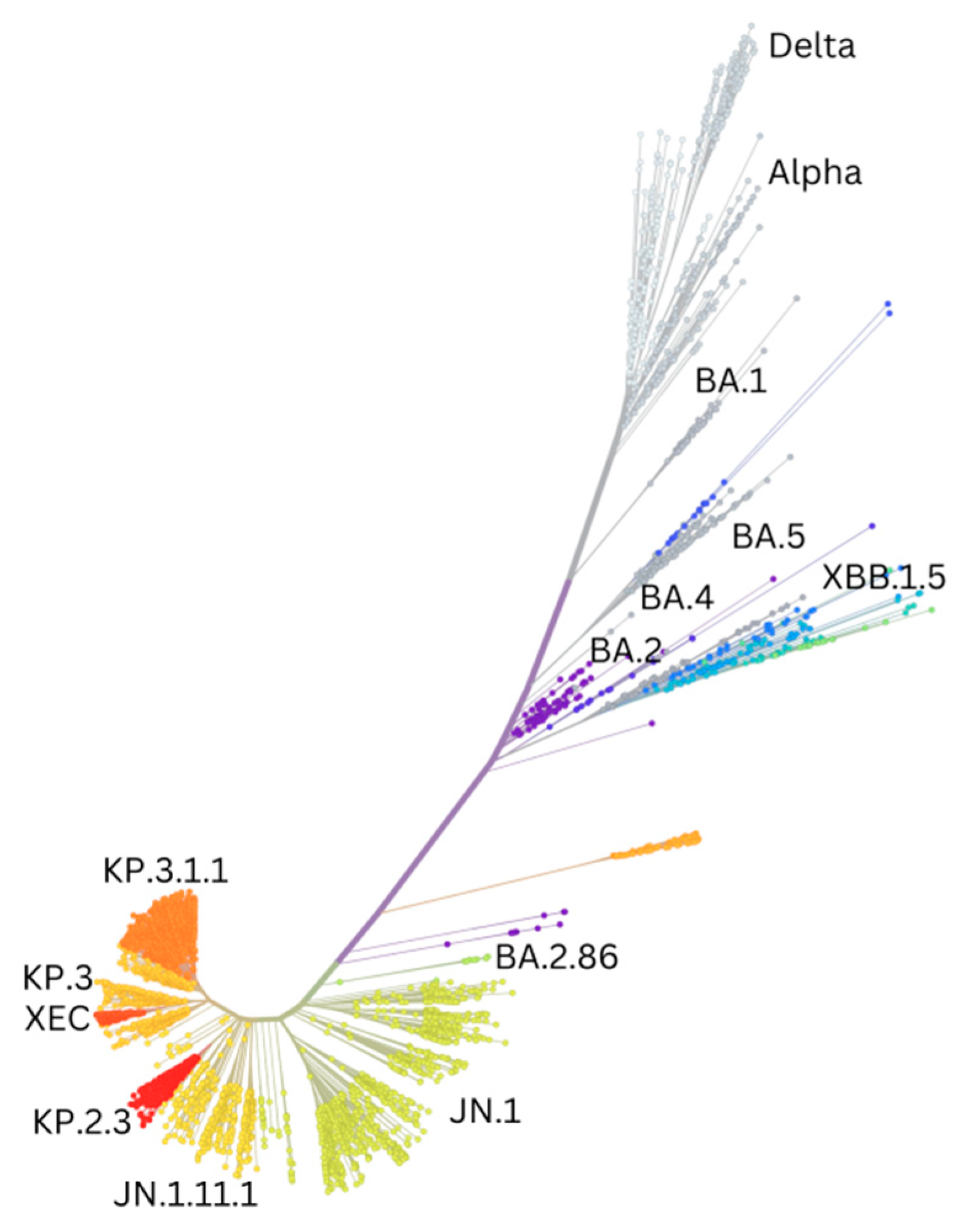 Vaccines 13 00017 g002