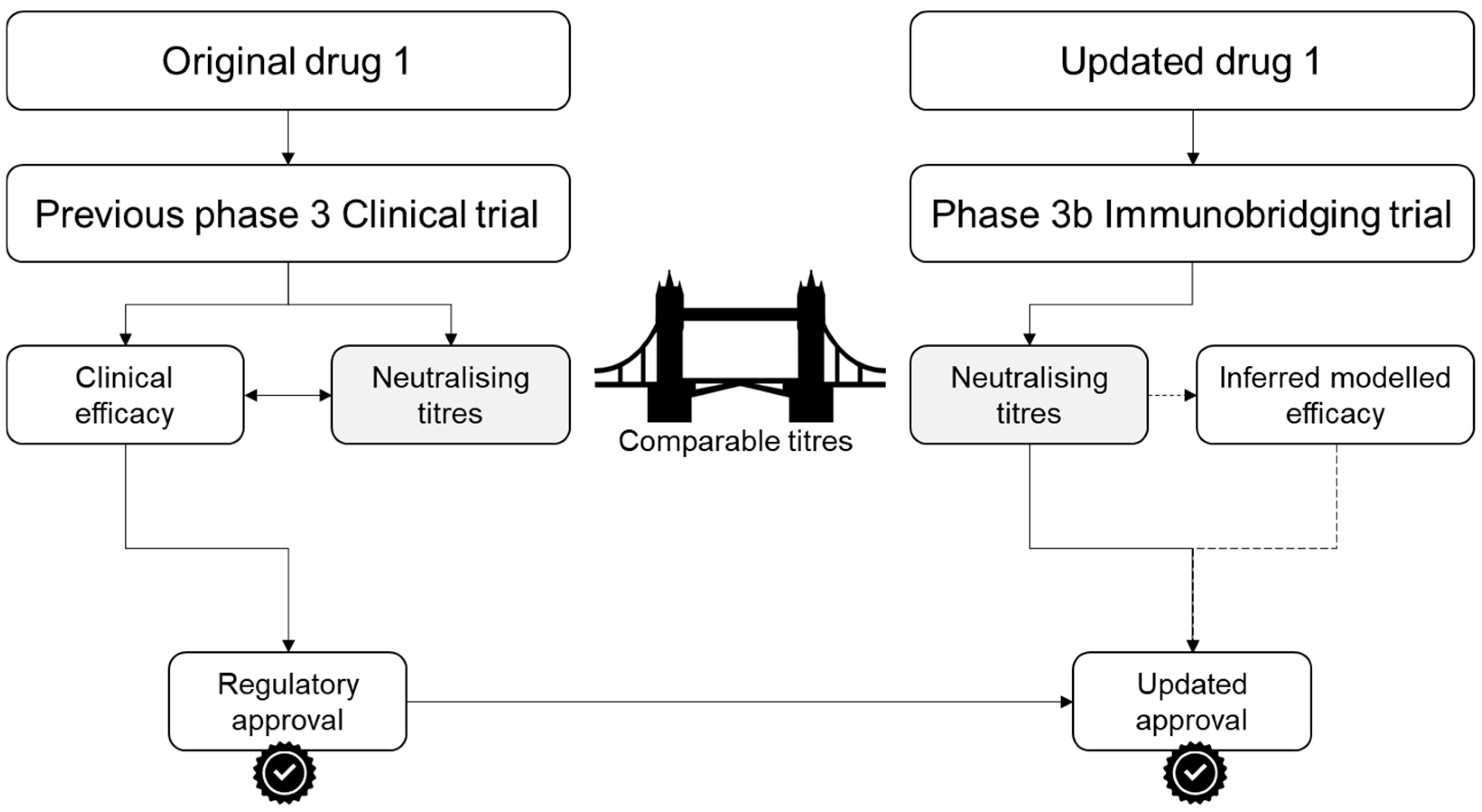 Vaccines 13 00019 g001