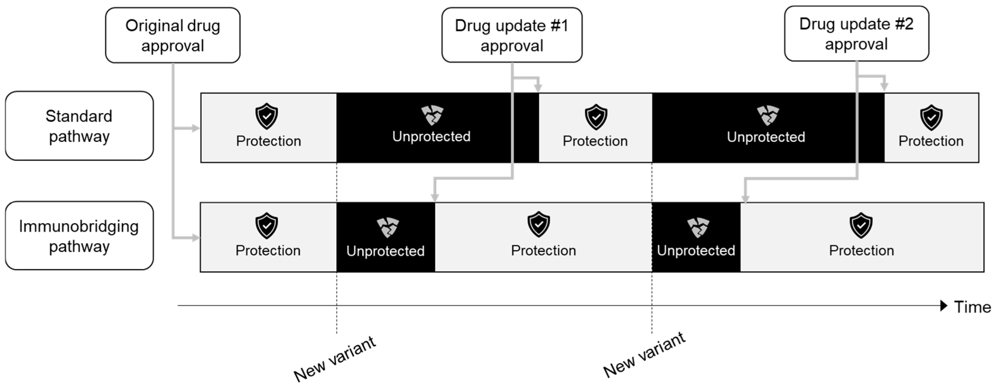 Vaccines 13 00019 g002