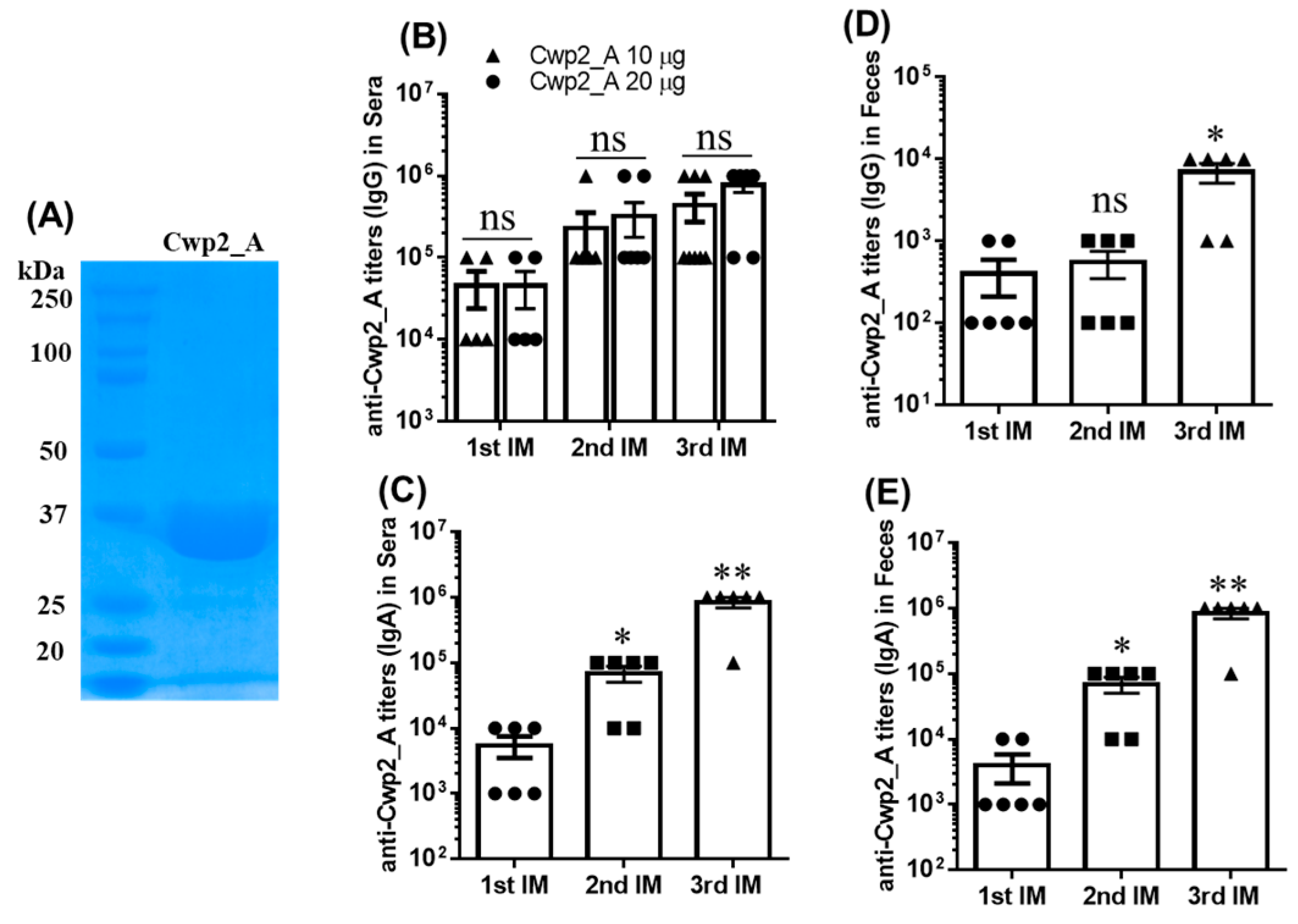 Vaccines 13 00021 g005