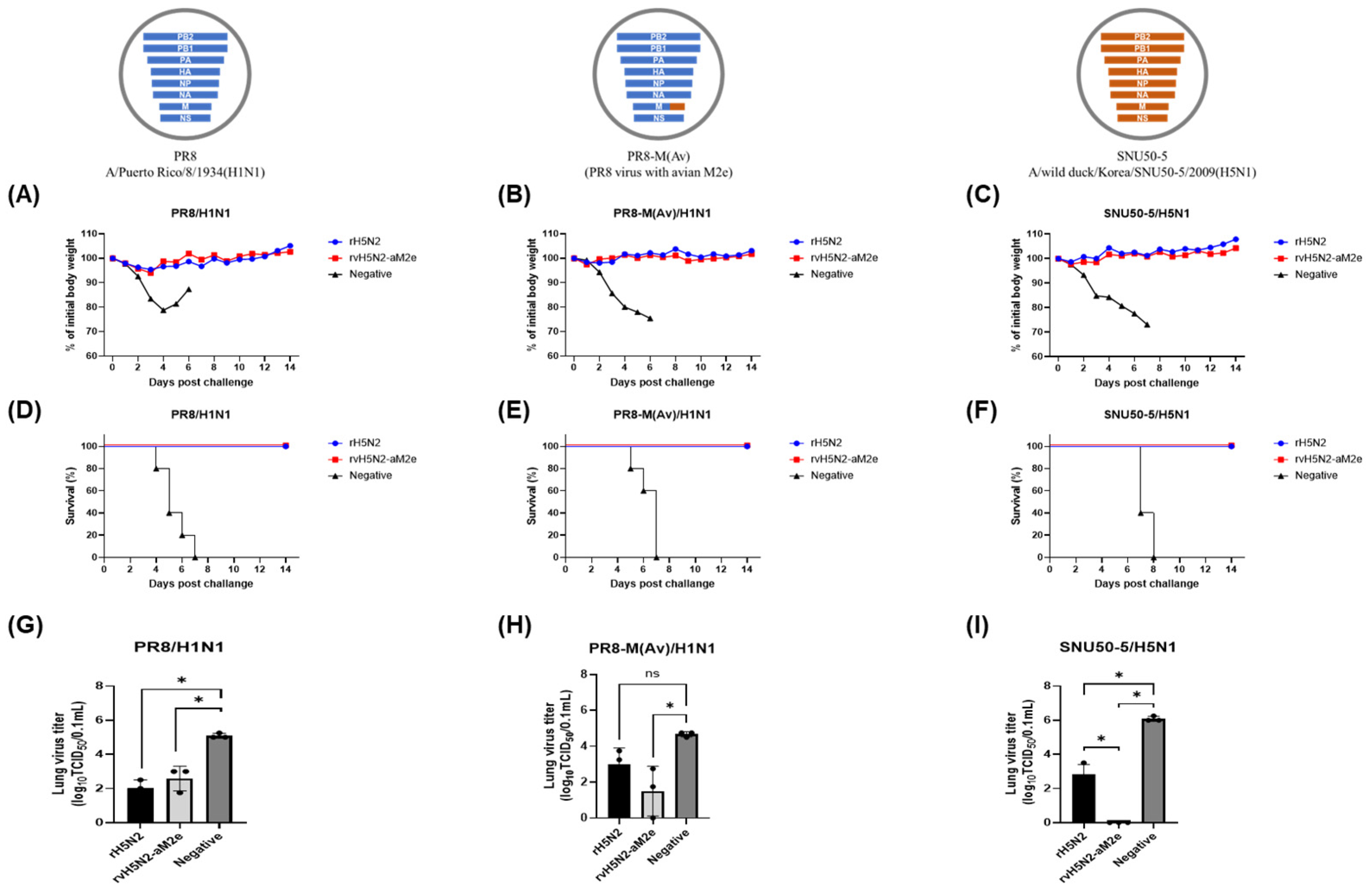 Vaccines 13 00022 g006