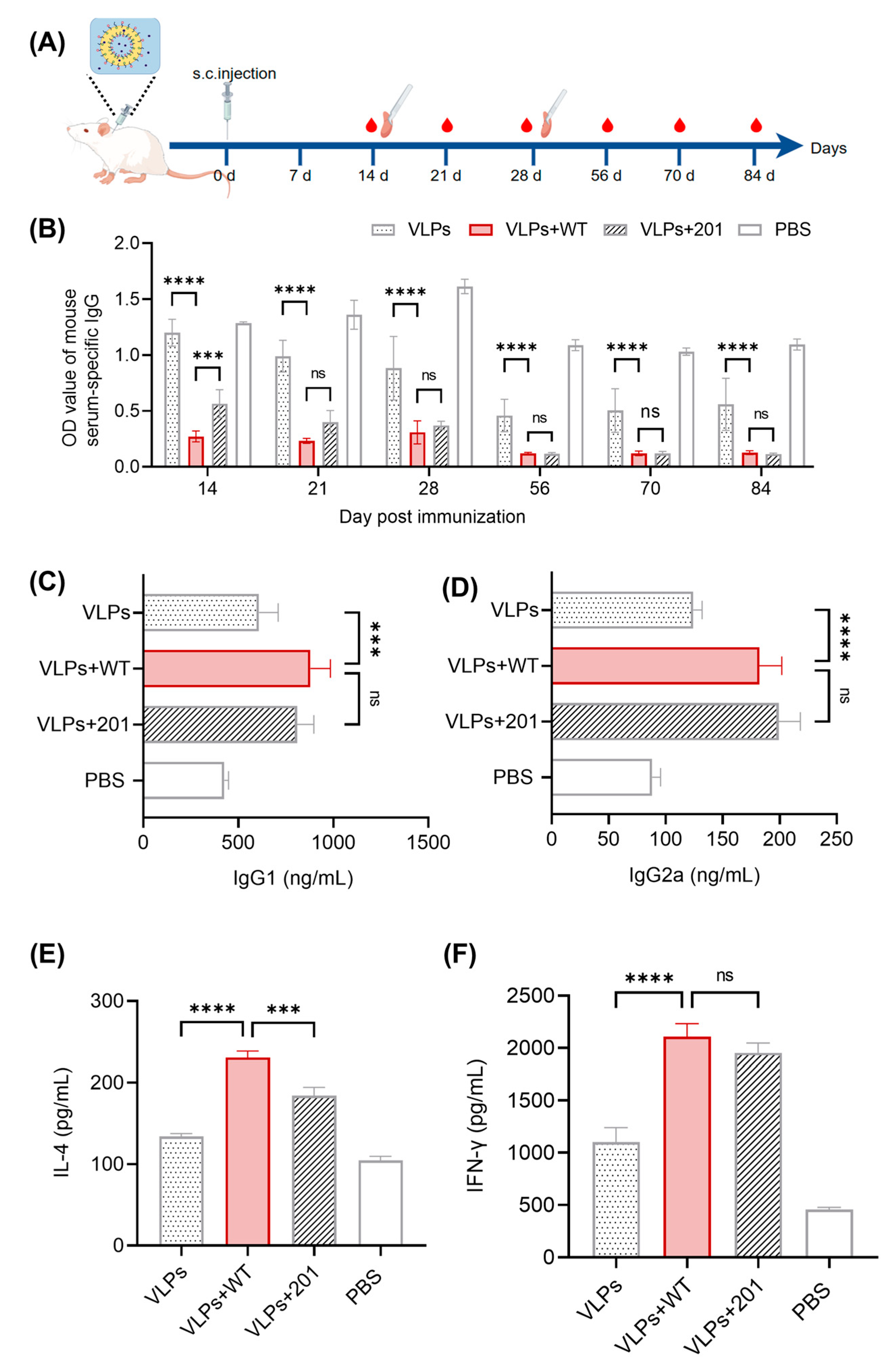 Vaccines 13 00024 g004 Vaccines 13 00024 g004
