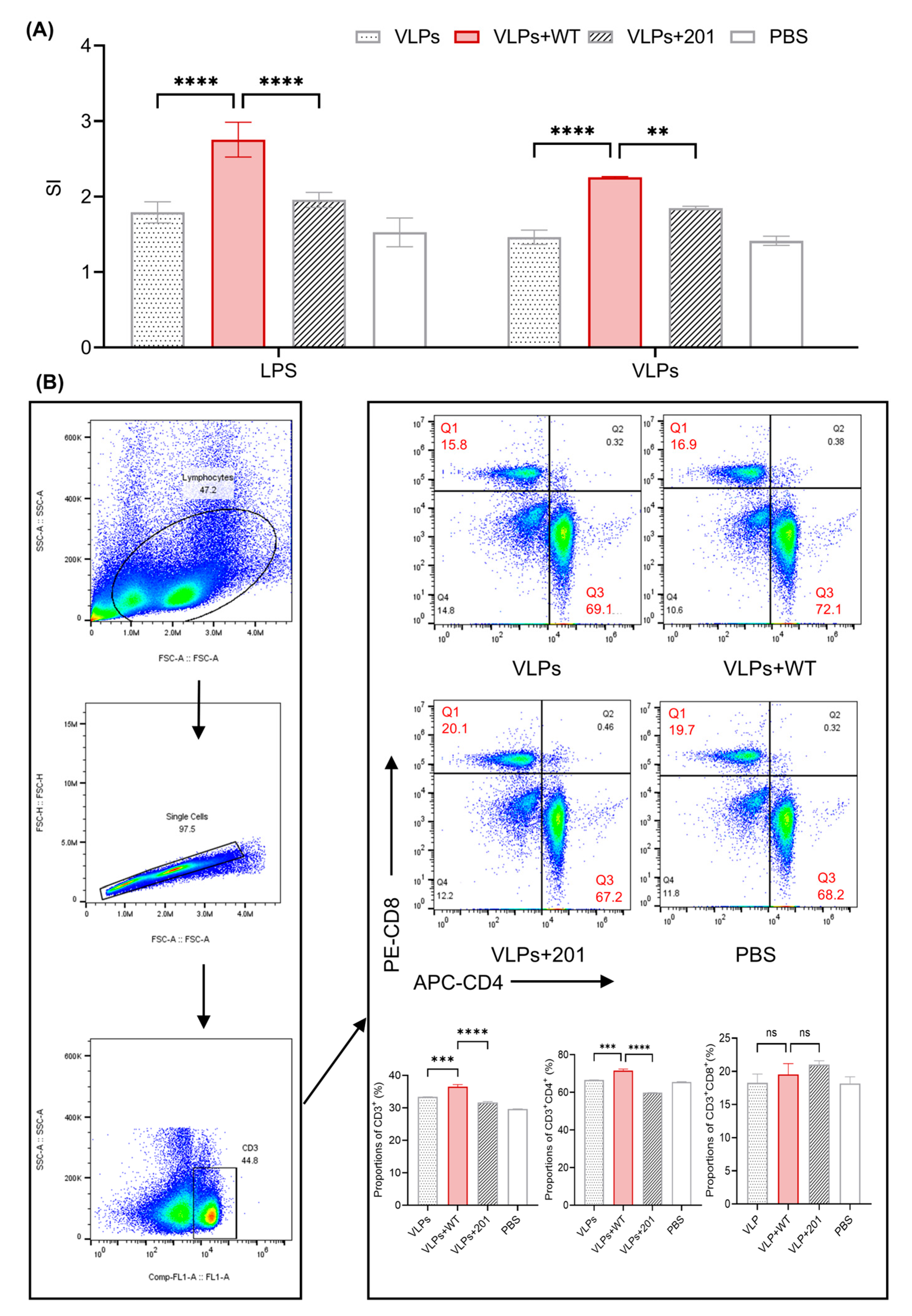 Vaccines 13 00024 g005 Vaccines 13 00024 g005