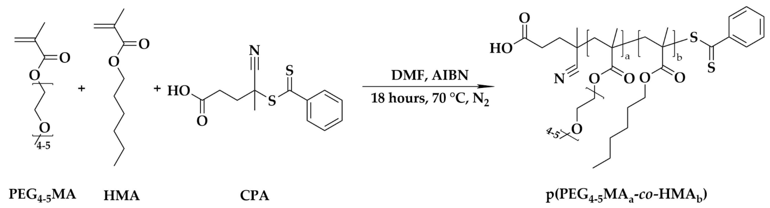 Vaccines 13 00025 g001