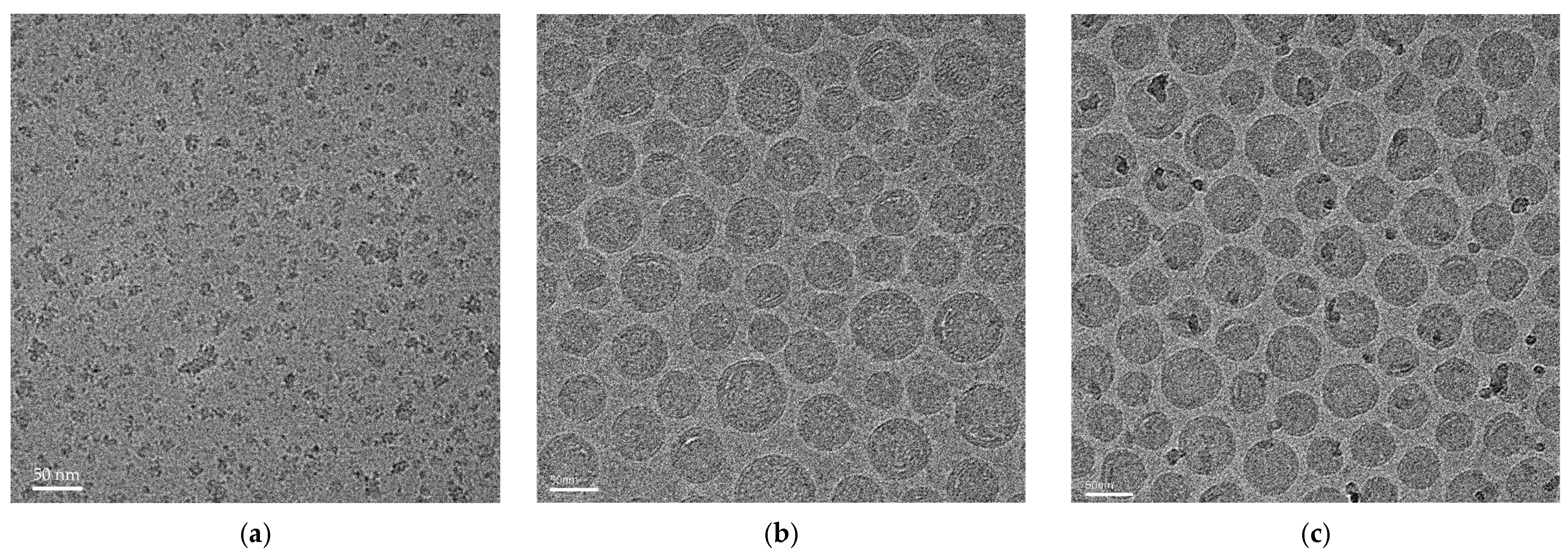 Vaccines 13 00025 g003