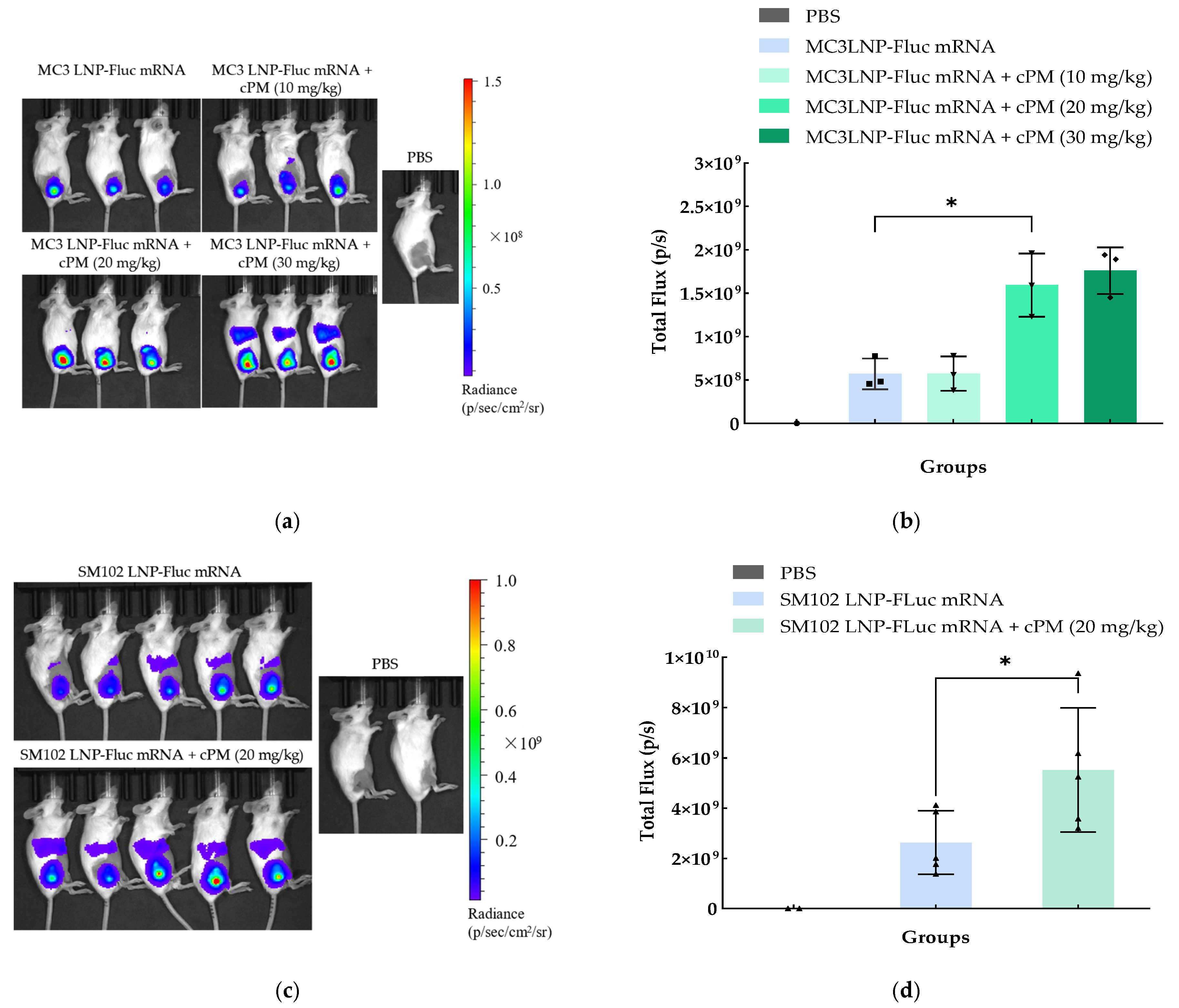 Vaccines 13 00025 g006
