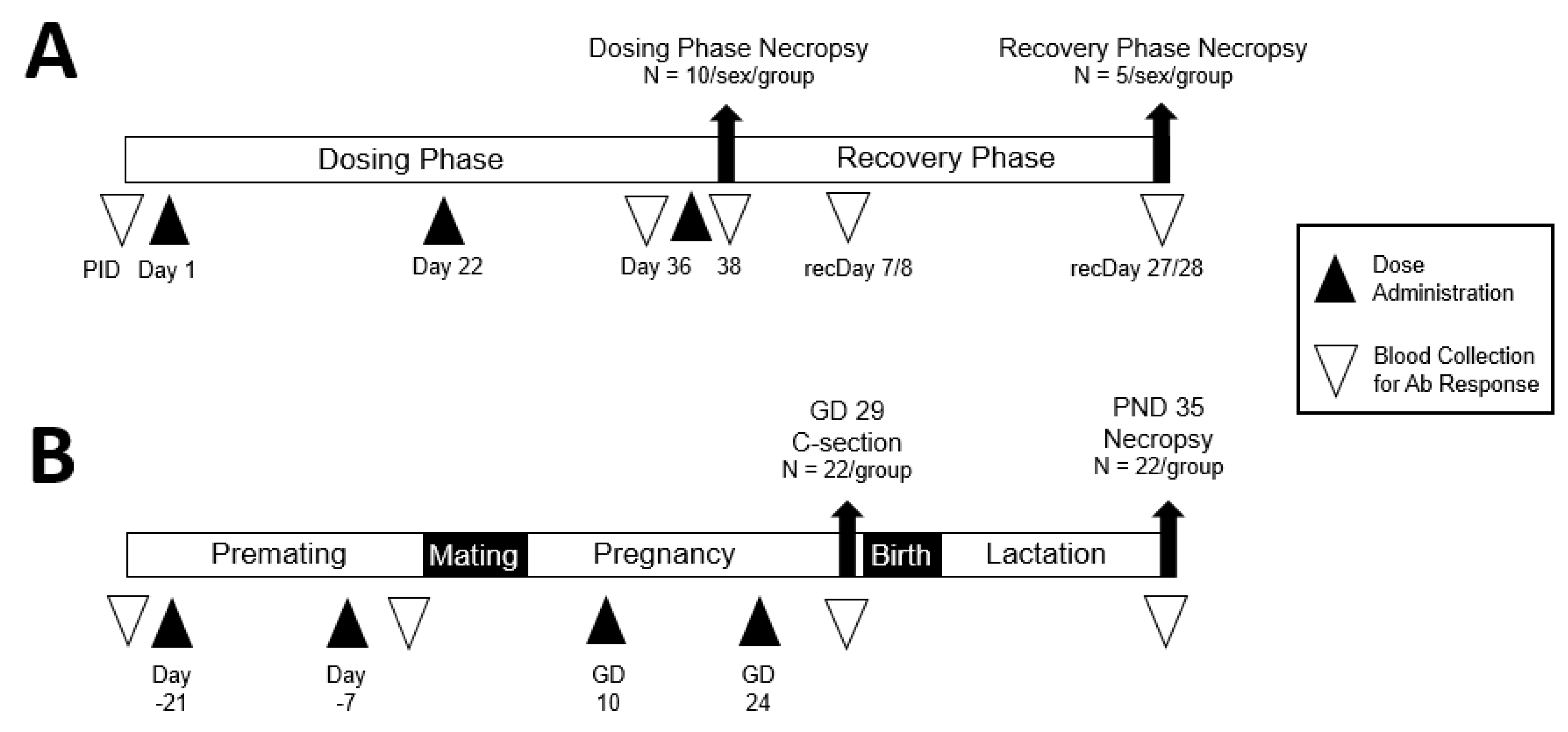 Vaccines 13 00026 g001