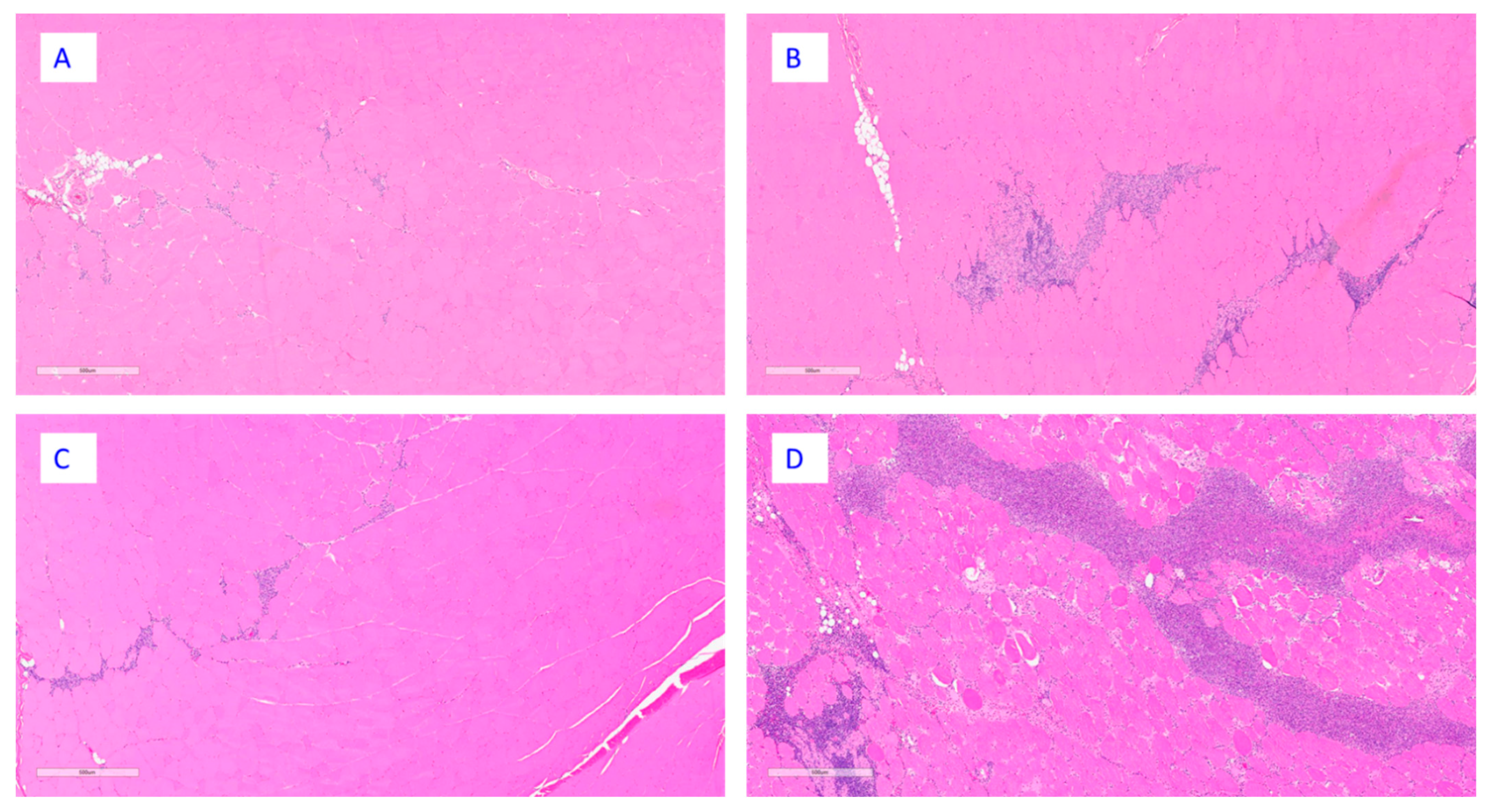 Vaccines 13 00026 g005