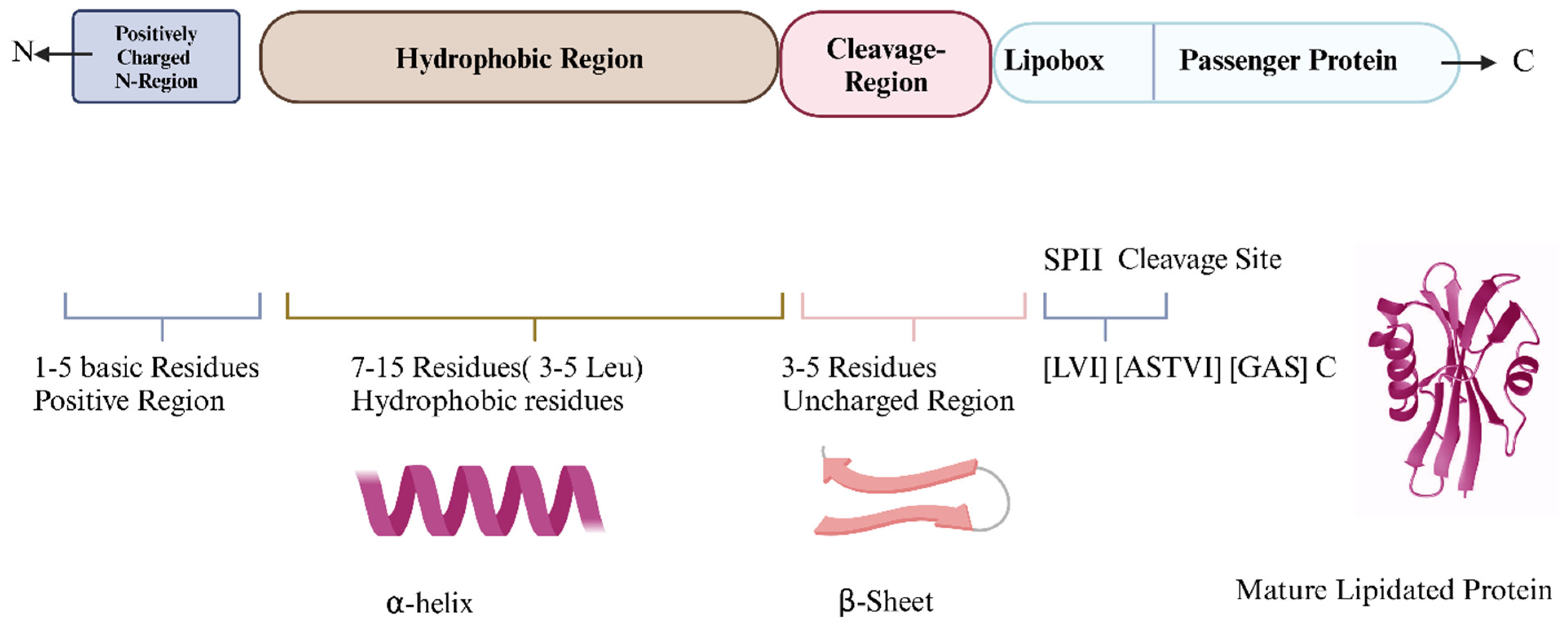 Vaccines 13 00036 g001